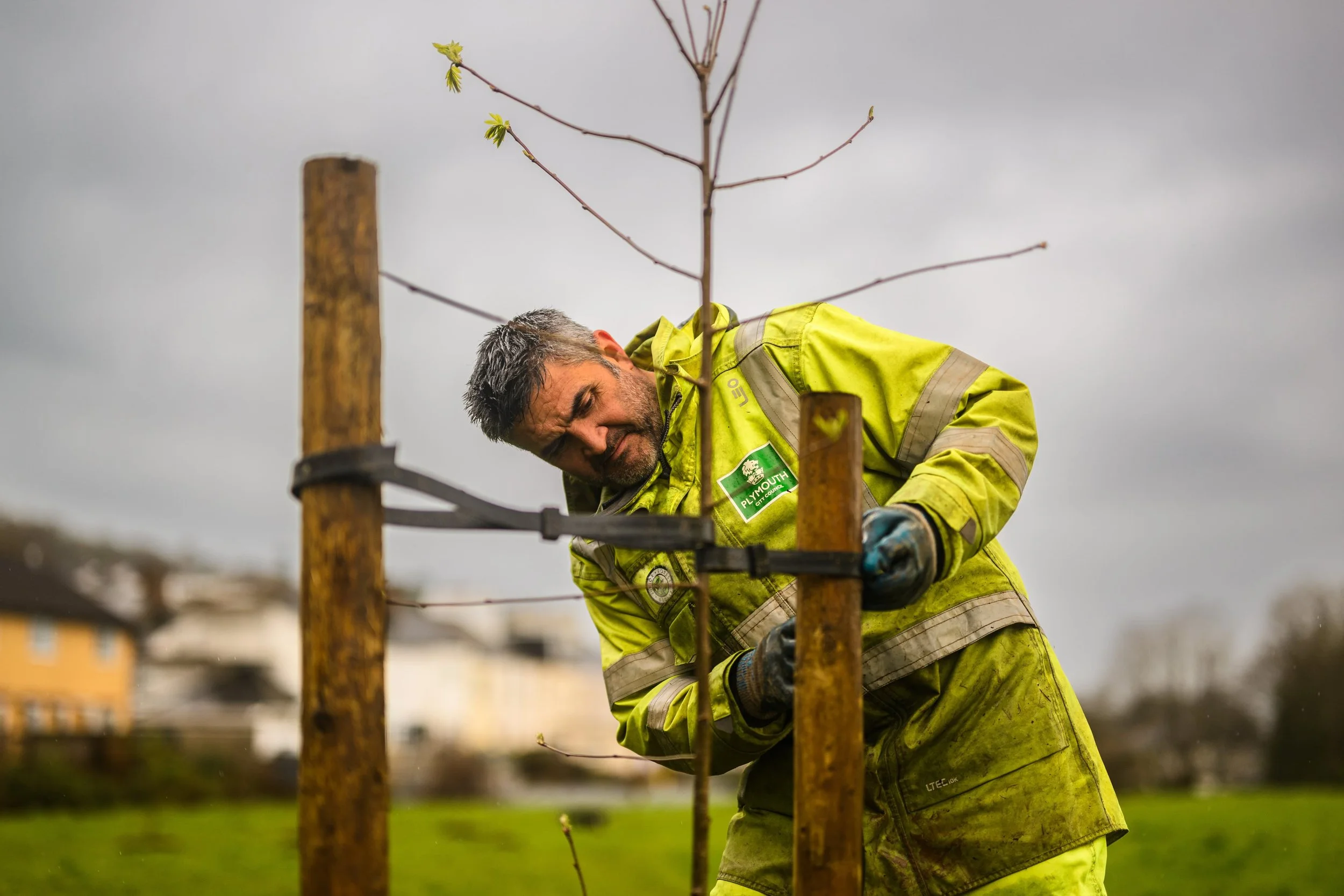 Plymouth Dolphins - PSDCF Tree Planting-8396.jpg