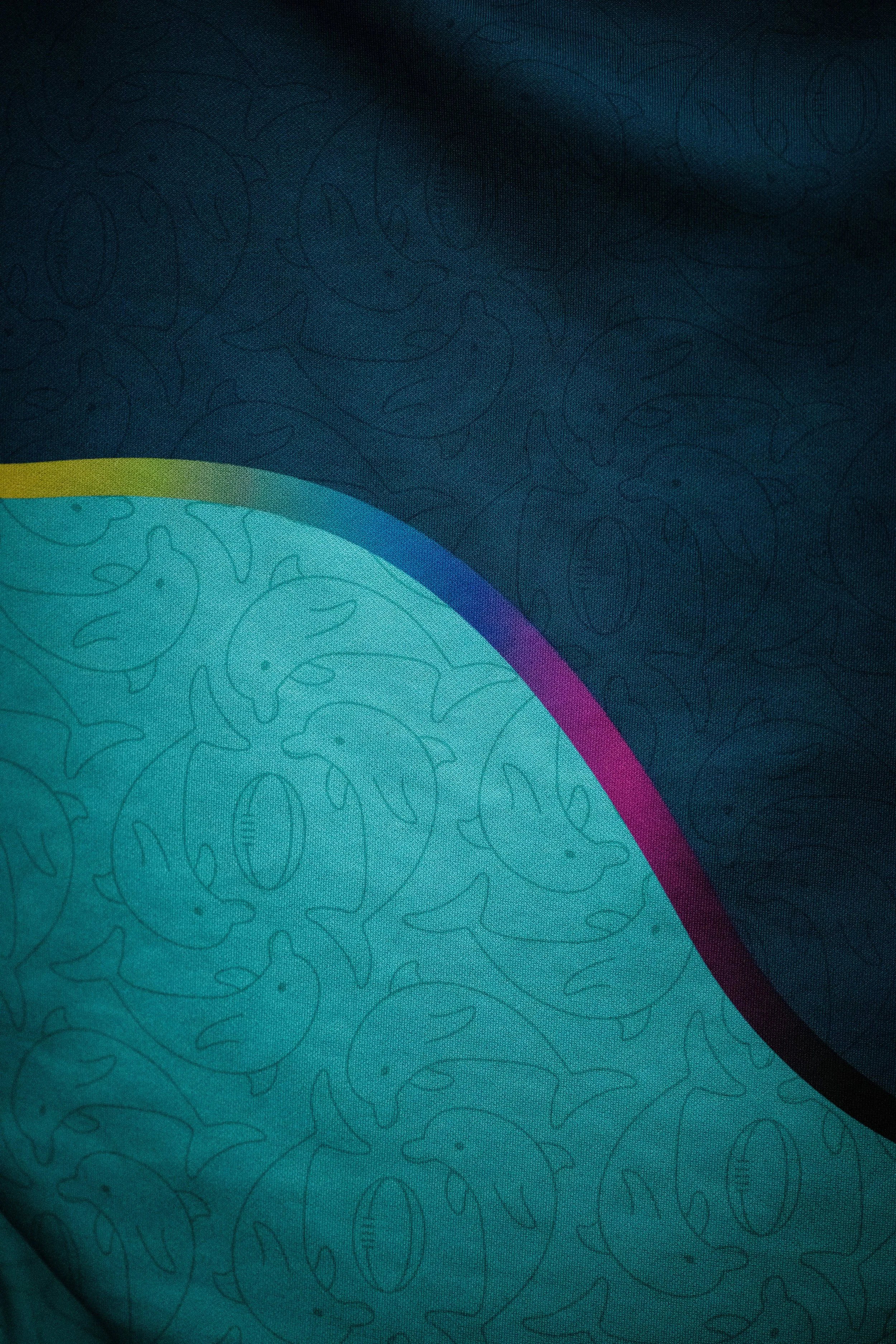 Plymouth Dolphins RFC-2578.jpg