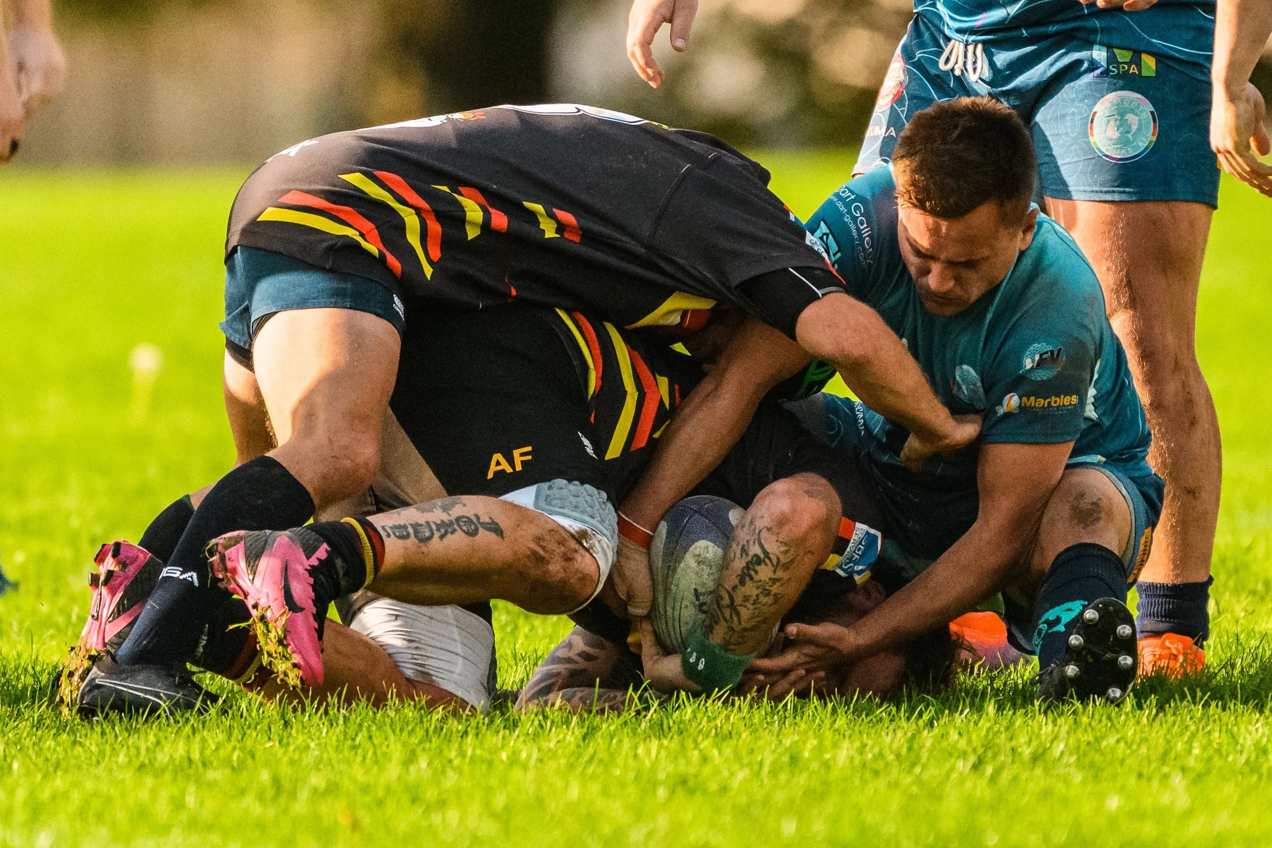 Plymouth Dolphins vs Plympton Victoria 2-7853.jpg