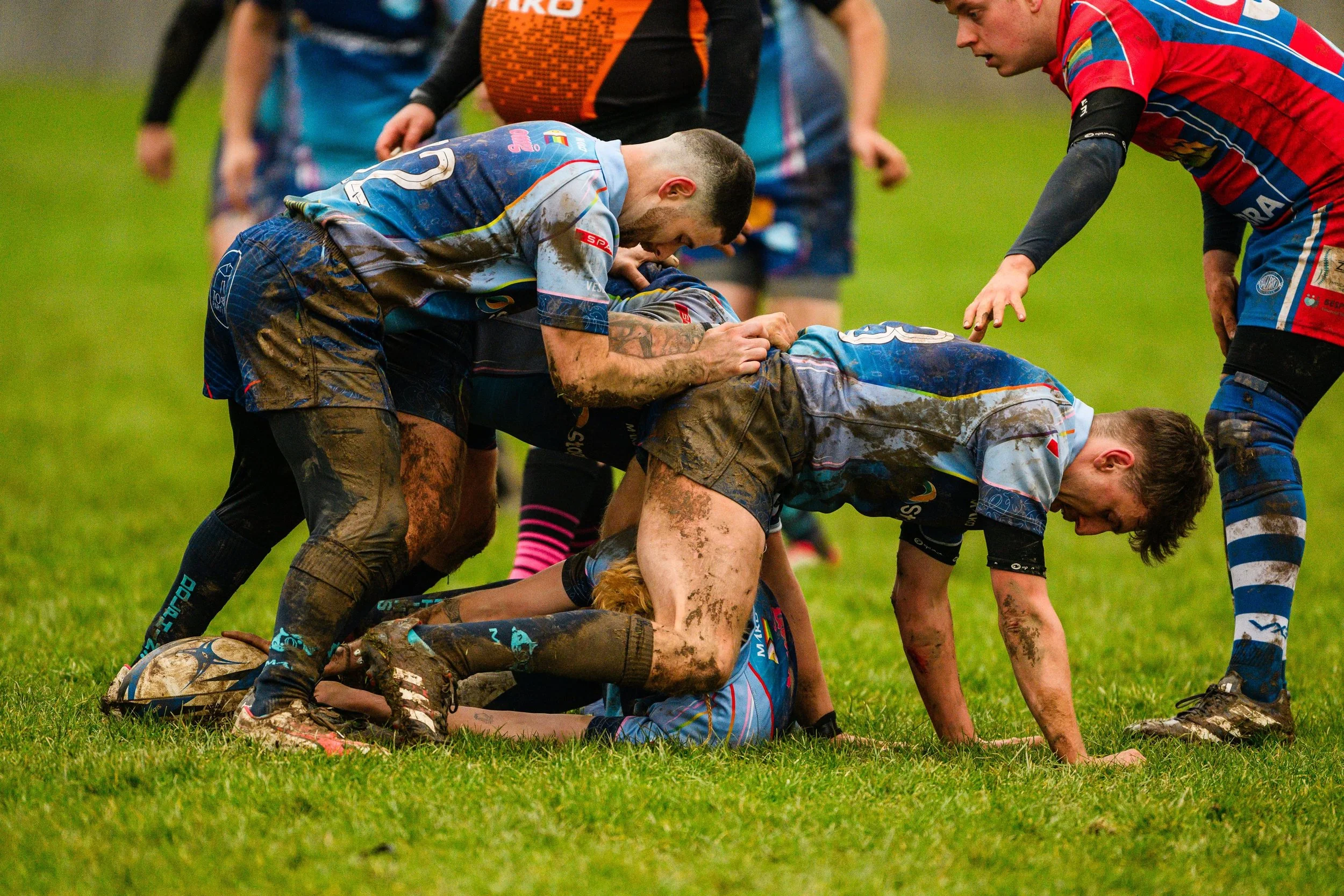 Plymouth Dolphins vs Reading Renegades-6146.jpg
