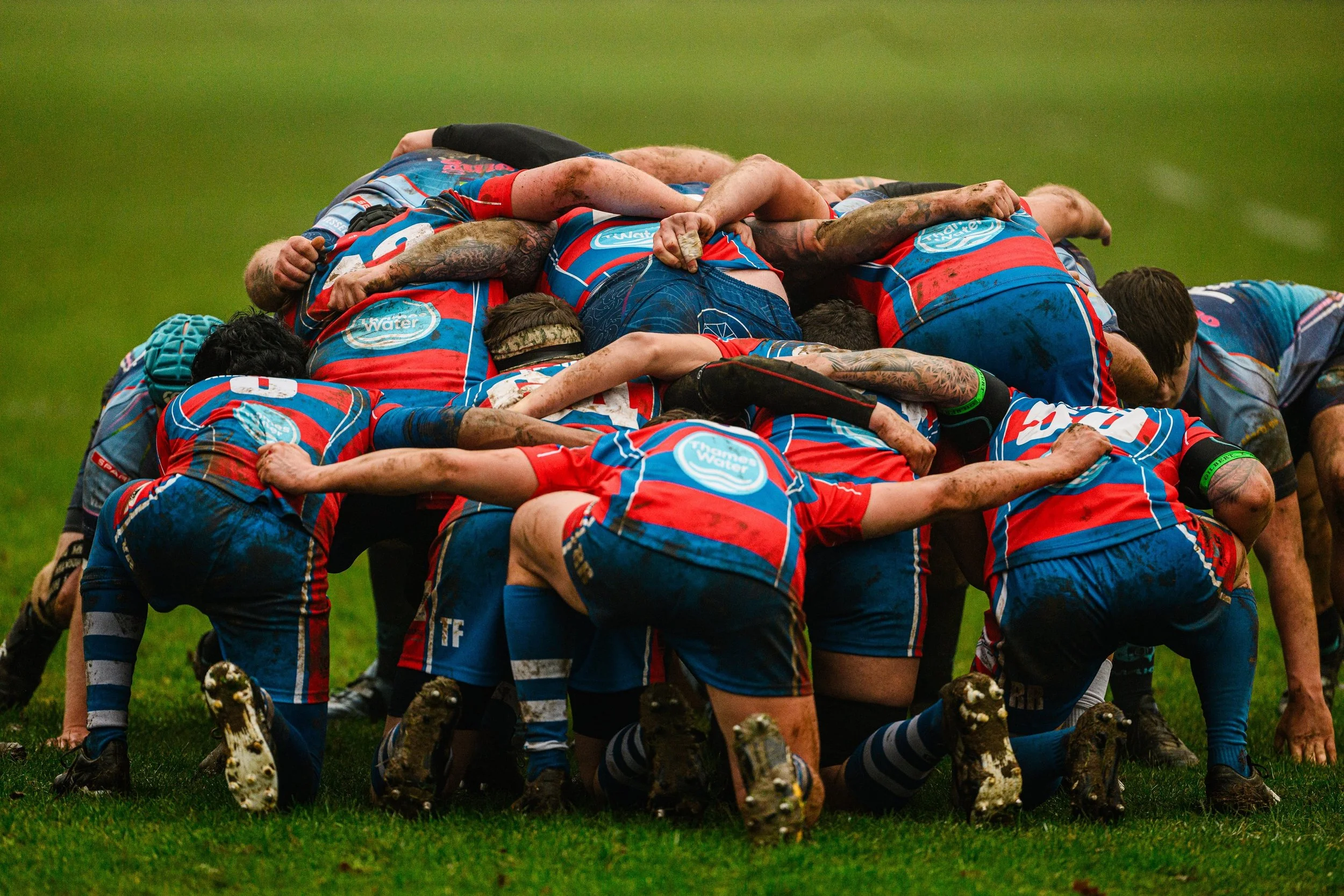 Plymouth Dolphins vs Reading Renegades-0525.jpg