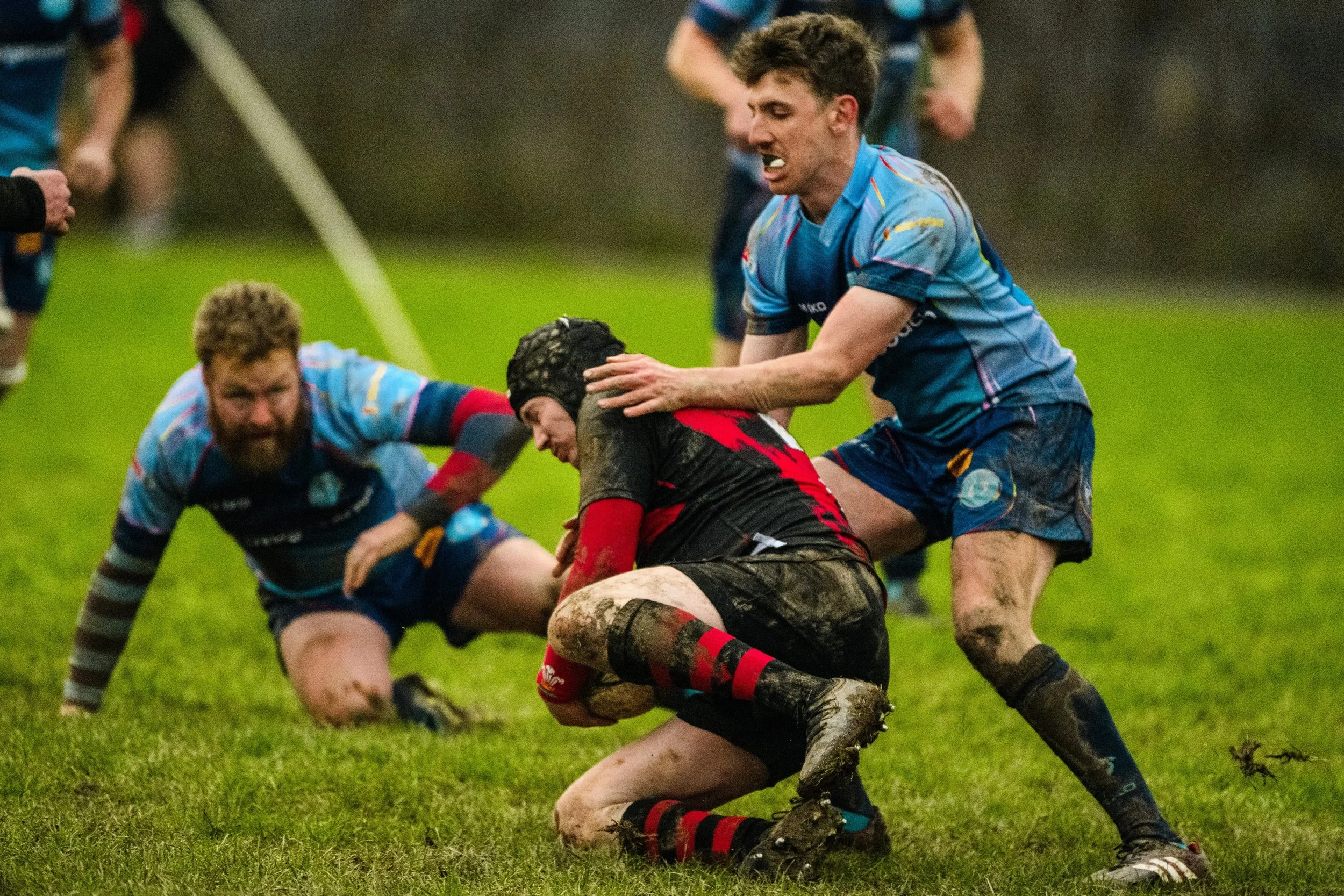 Plymouth Dolphins vs Cardiff Lions-1431.jpg