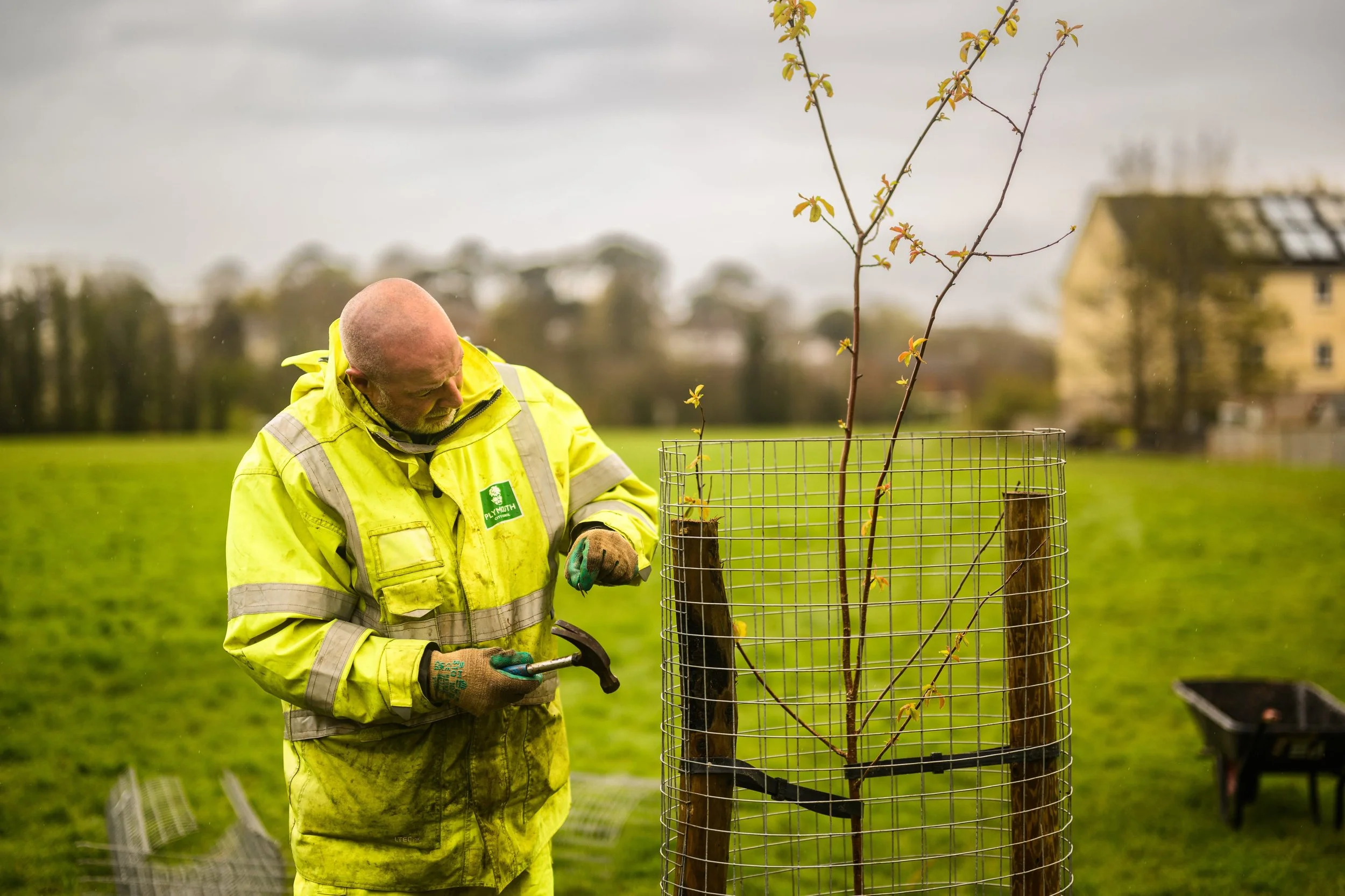 Plymouth Dolphins - PSDCF Tree Planting-8388.jpg