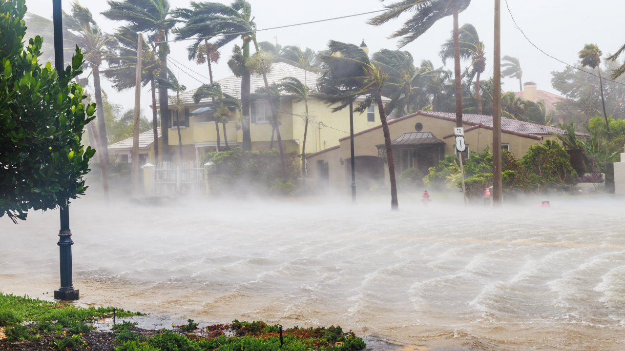 Experts Predict Potentially Deadly Hurricane Season: What You Must Know