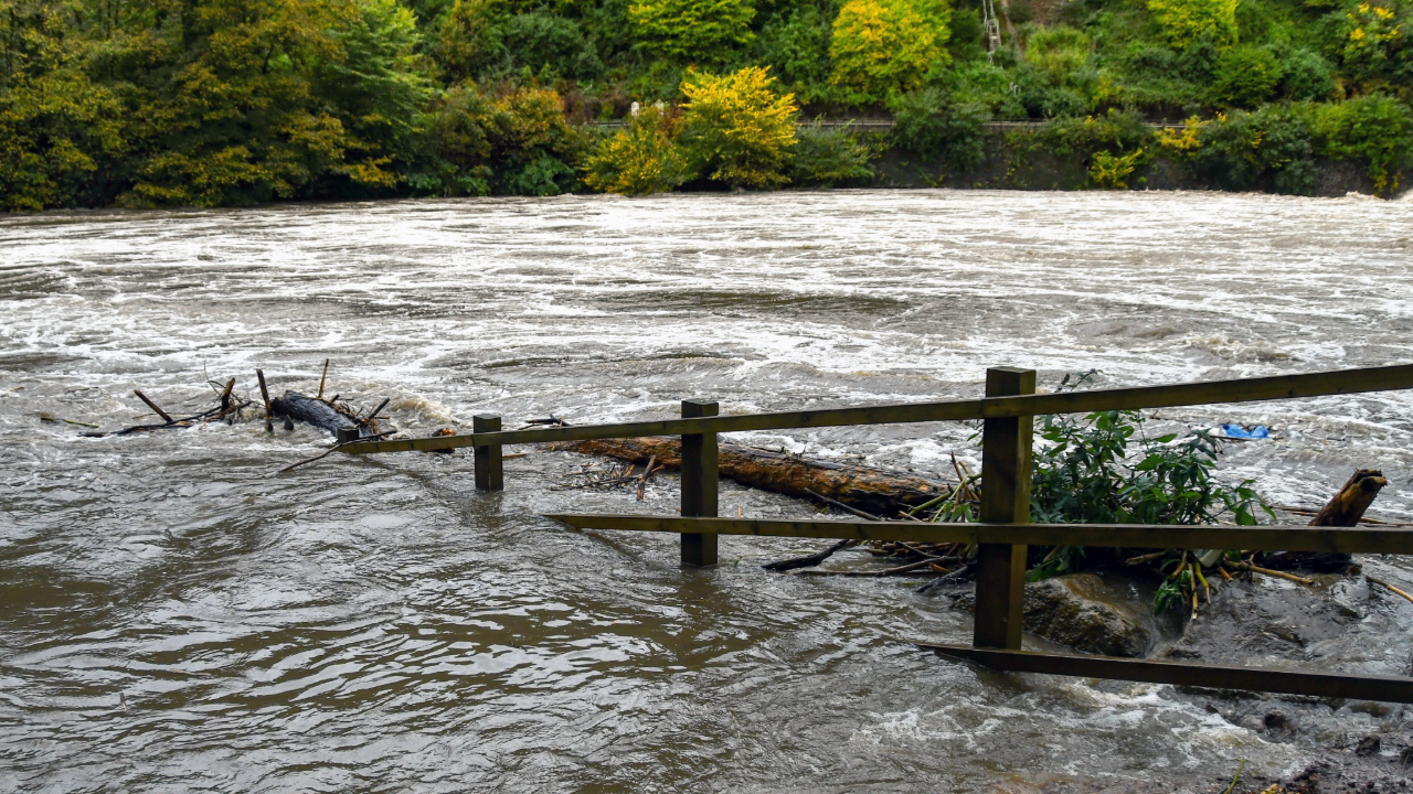 2025 is The Year of the Flood: How Never to Be Caught off Guard