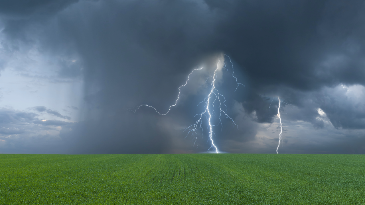 Summer Storms 101: How to Prepare for Thunderstorms and Lightning