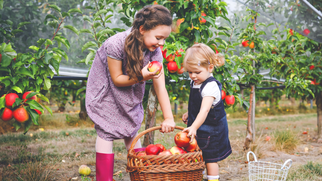 Weather-Proof Your Fall Traditions: How to Stay Weather Alert