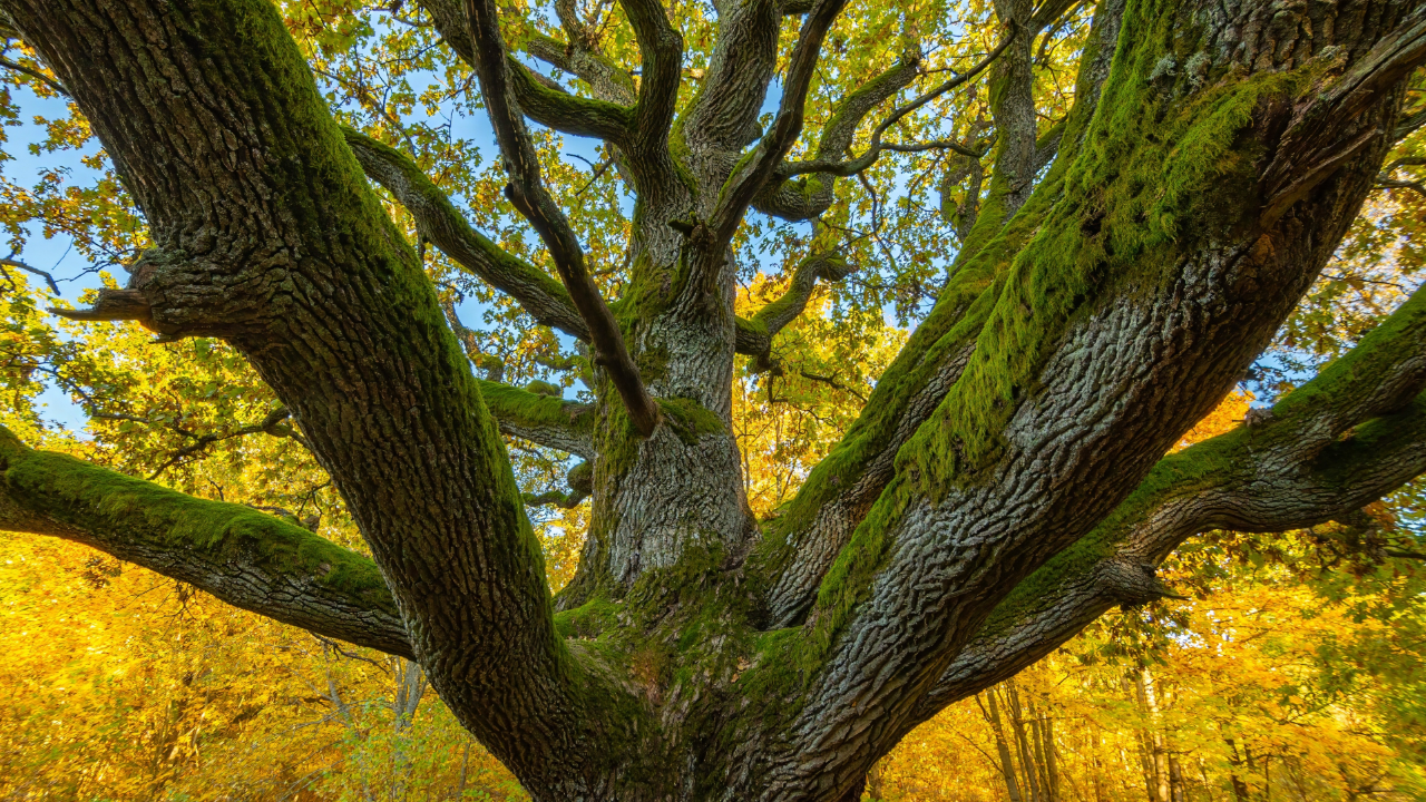 When is the First Day of Fall 2025 for the US?