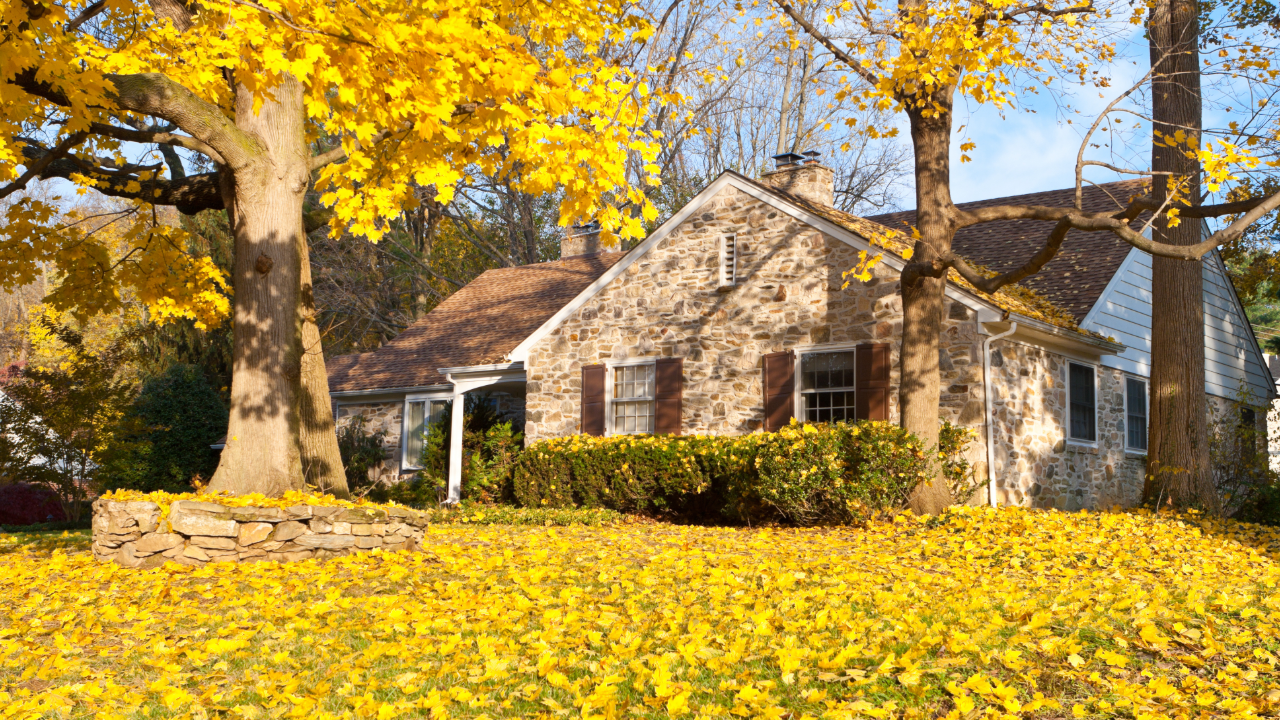 Fall Home Prep: 5 Essential Tasks to Tackle Before the Temperature Drops