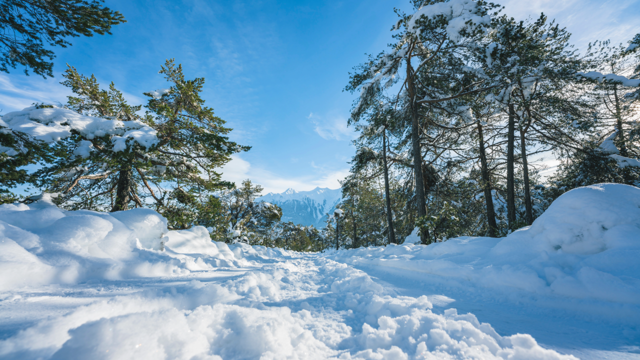 Snow Season Is Here: Apps To Make Winter More Predictable