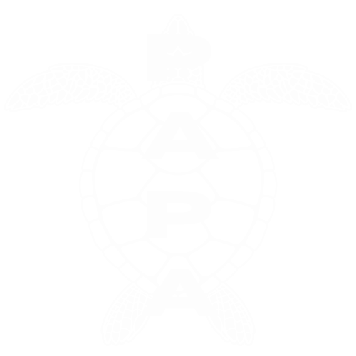 Papa Turtle