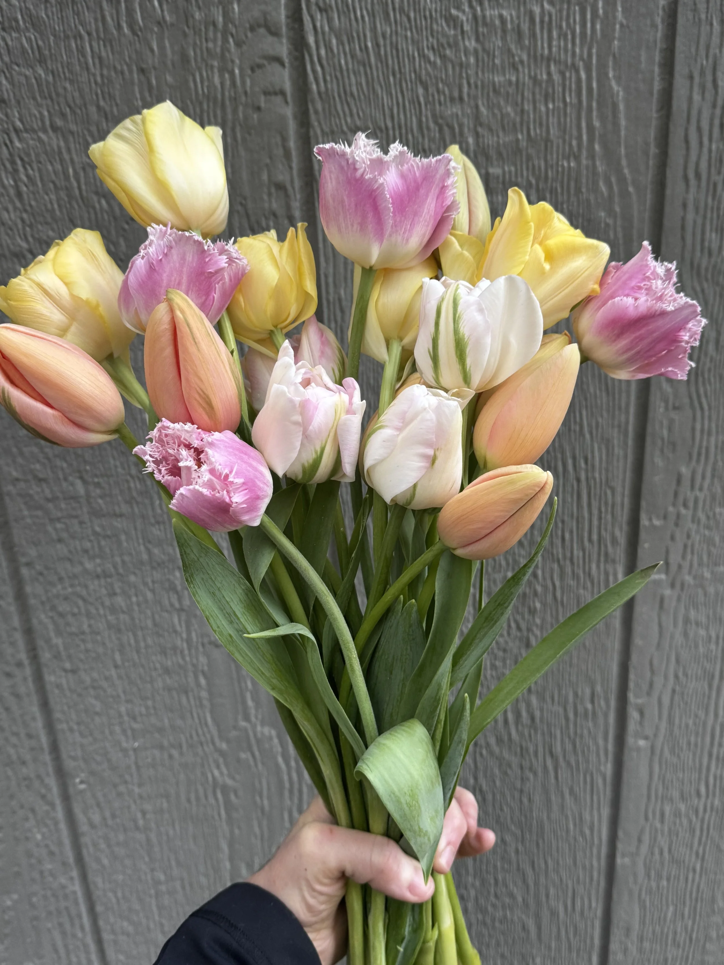 Grow along with me TULIP add on