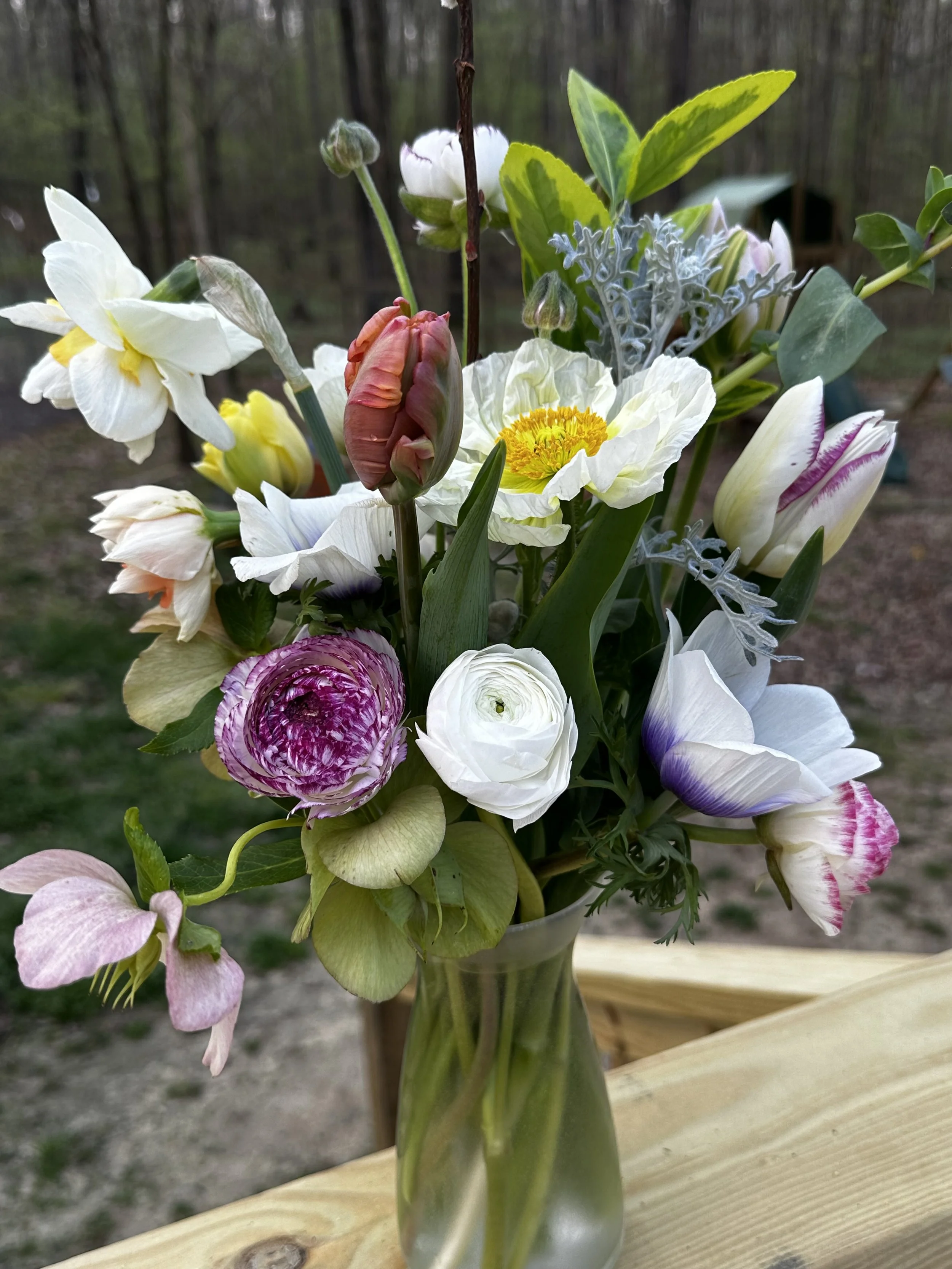 image0 (18).jpeg