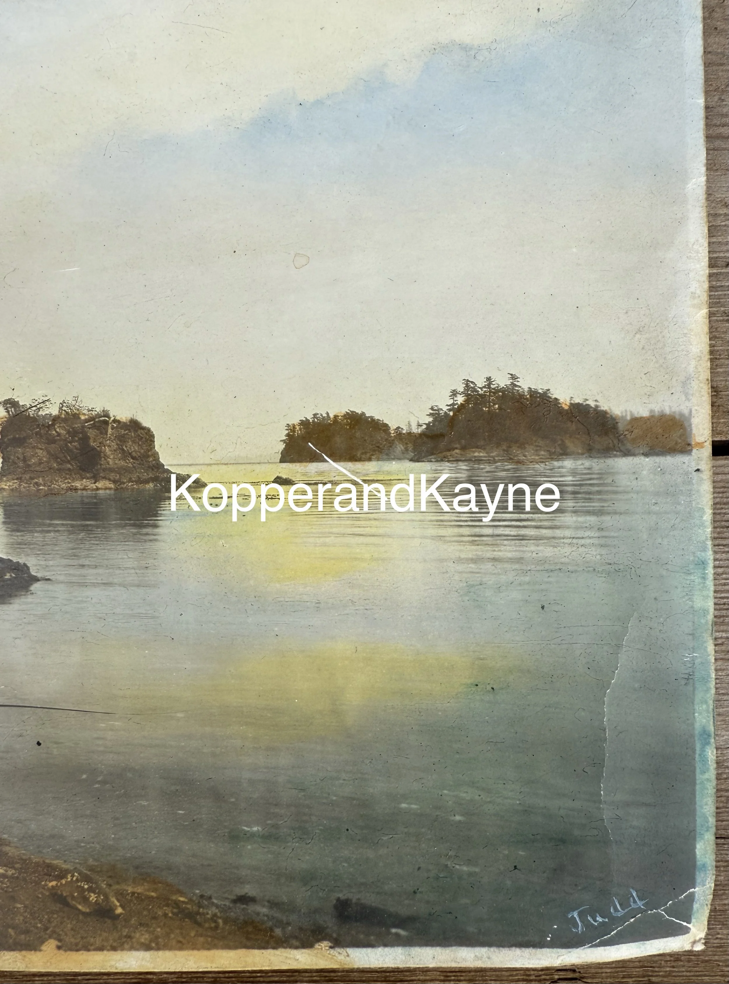 Real old photo hand tinted Cypress Island close up