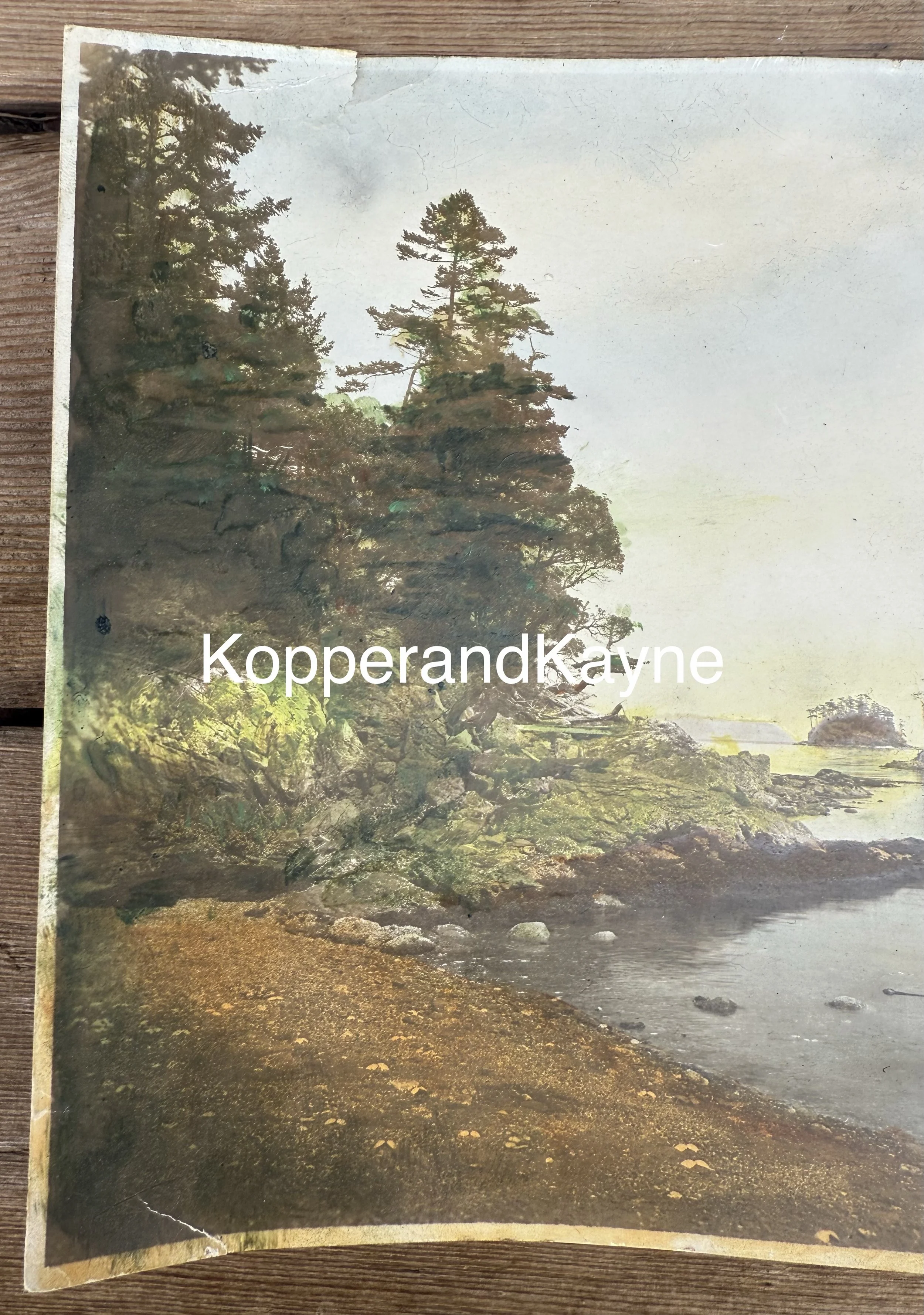 Cypress Island hand tinted paper real photograph torn edge corner