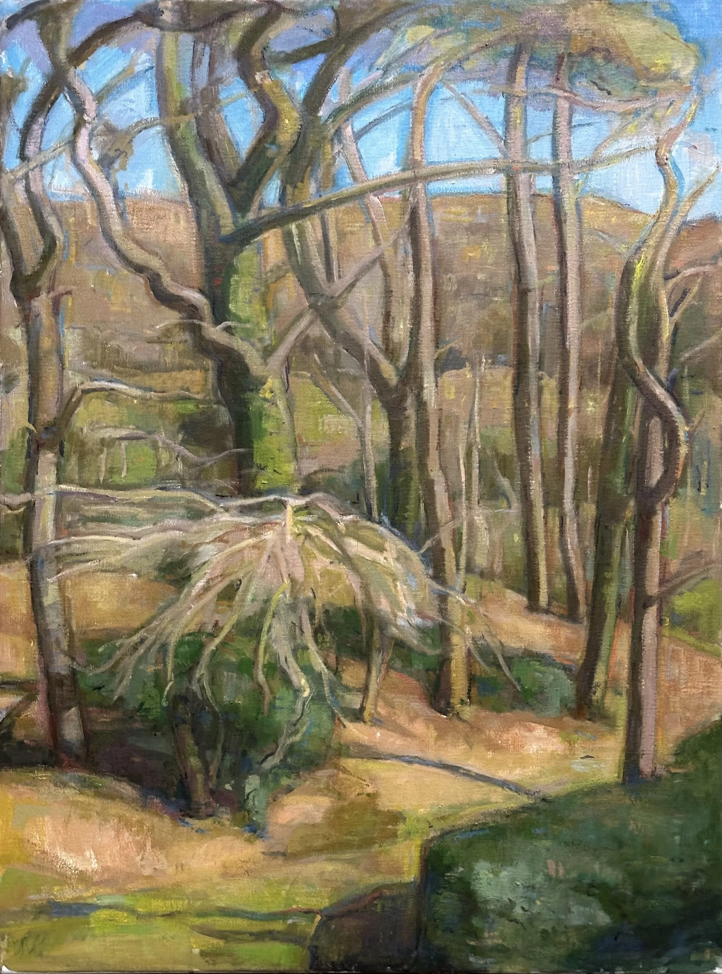 Sussex Copse: Oil 32x24in