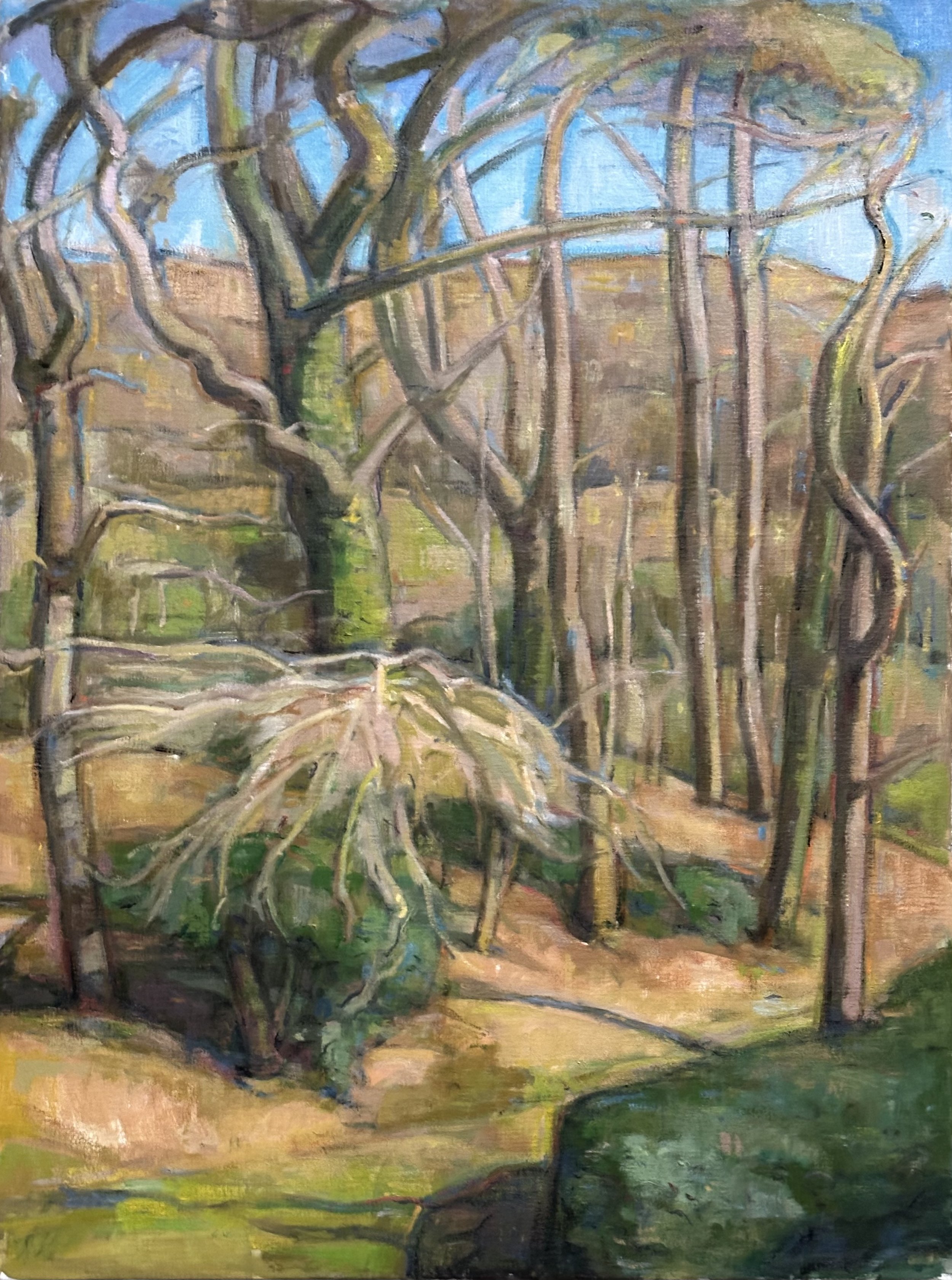 Sussex Copse: Oil 32x24in