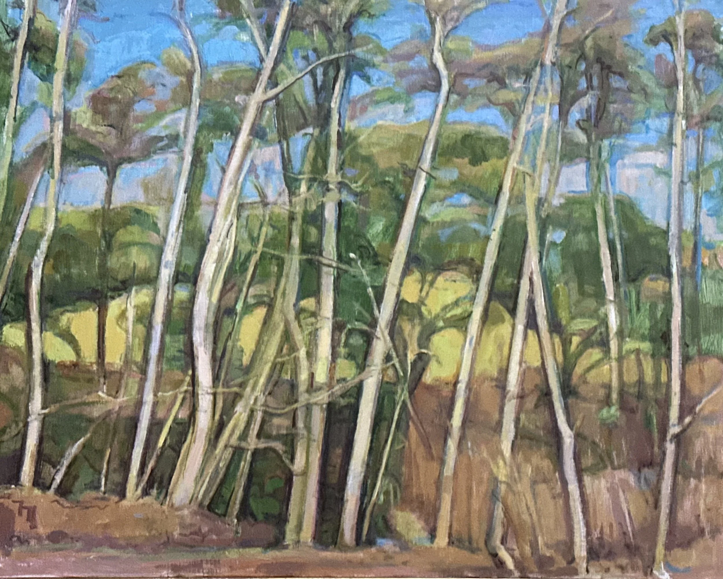 Sussex Copse: Oil 30x24in