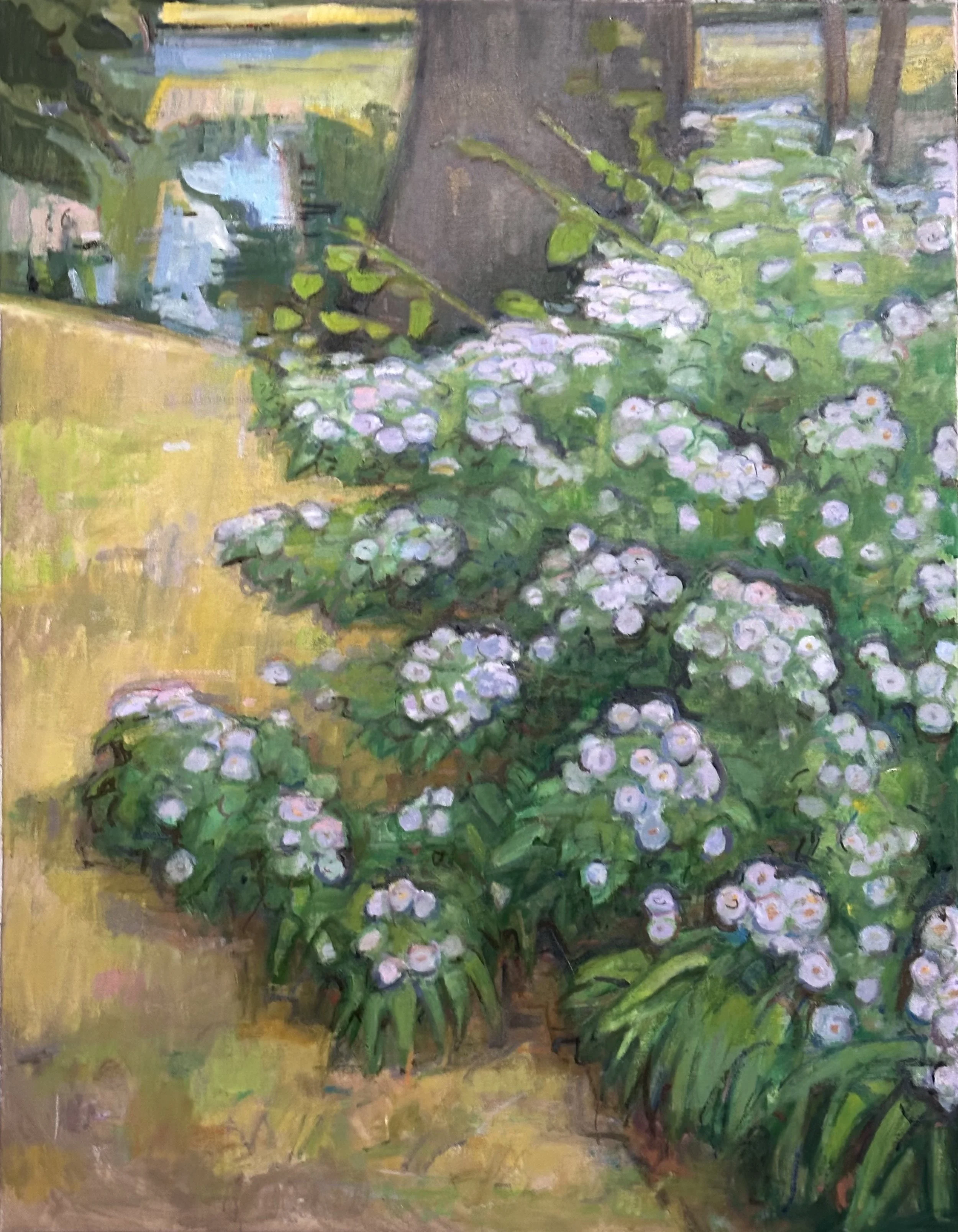 Broomfield - Asters: Oil 36x28in