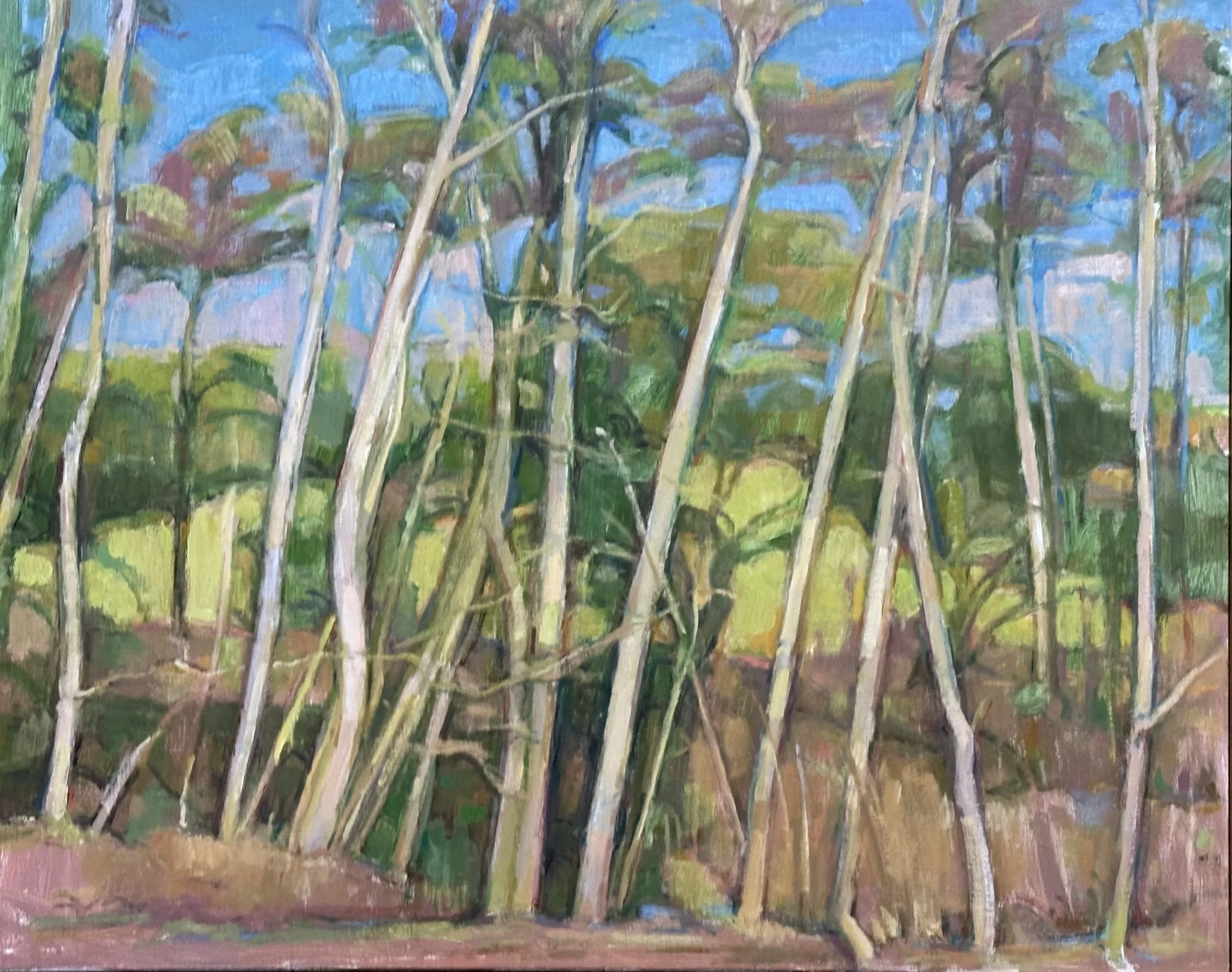 Sussex Copse: Oil 30x24in