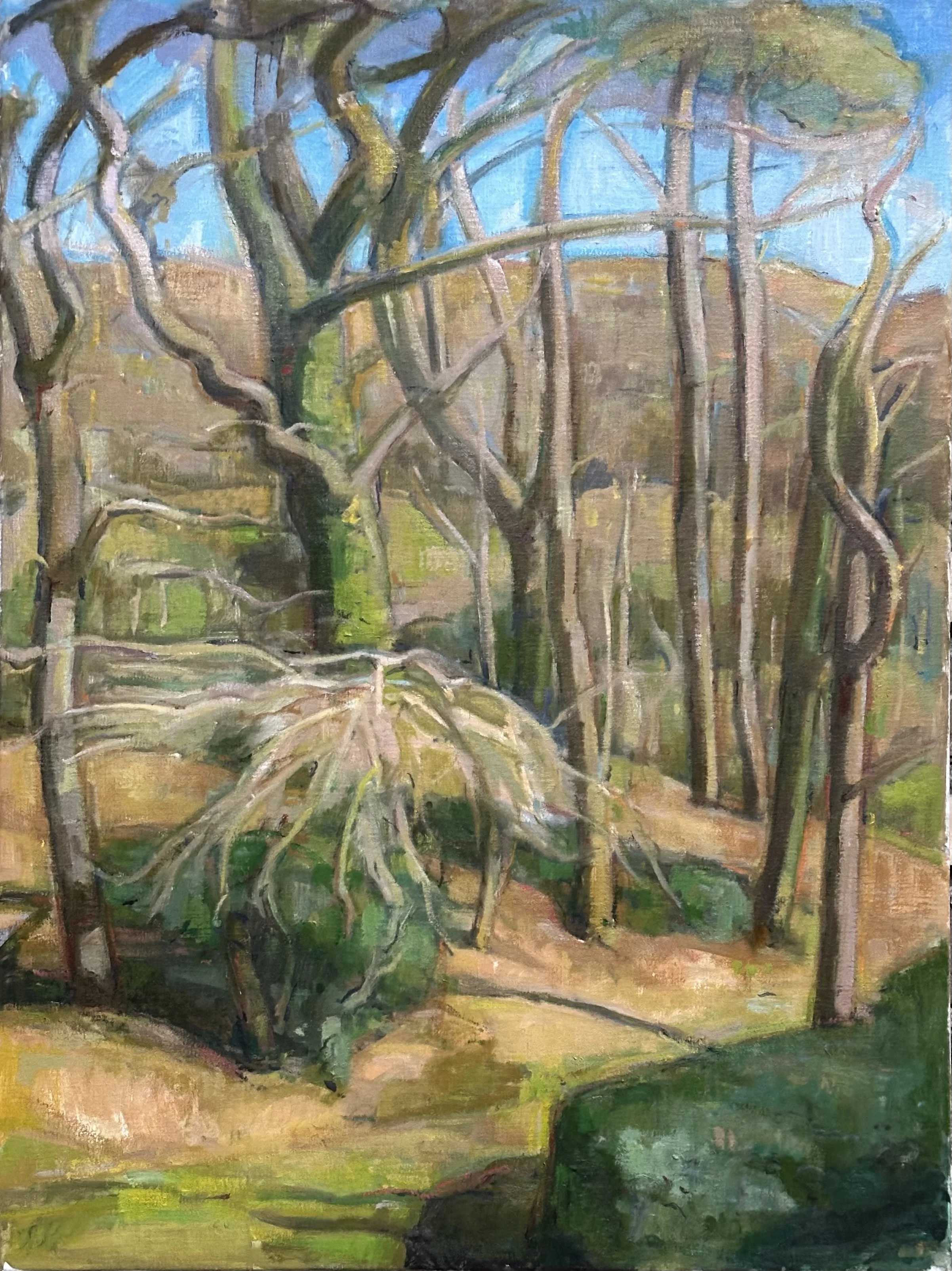 Sussex Copse: Oil 32x24in