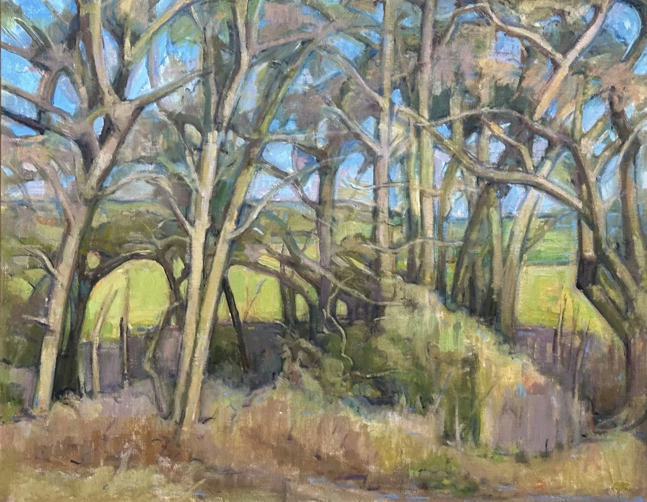 Sussex Copse: Oil 30x24in
