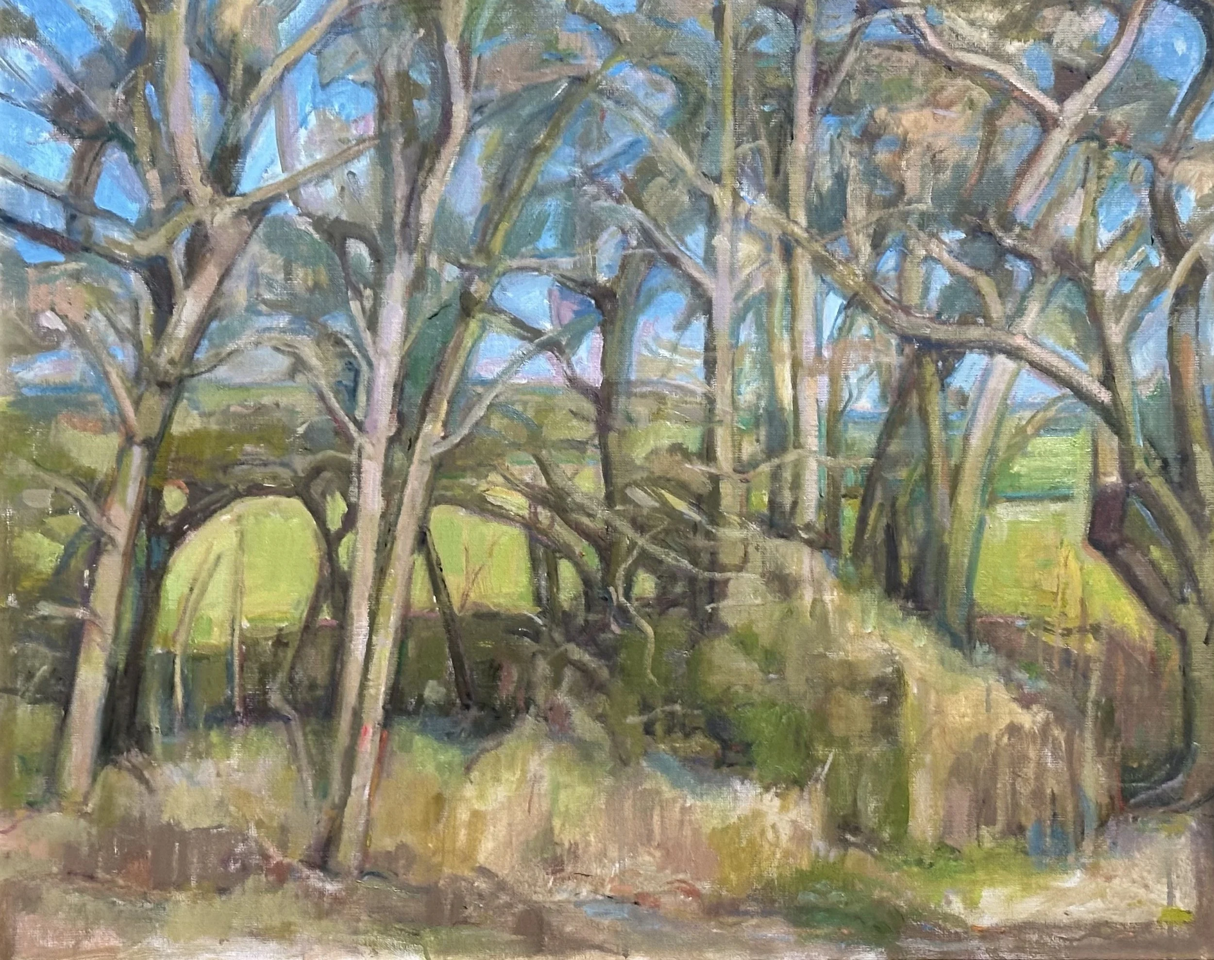 Sussex Copse: Oil 30x24in