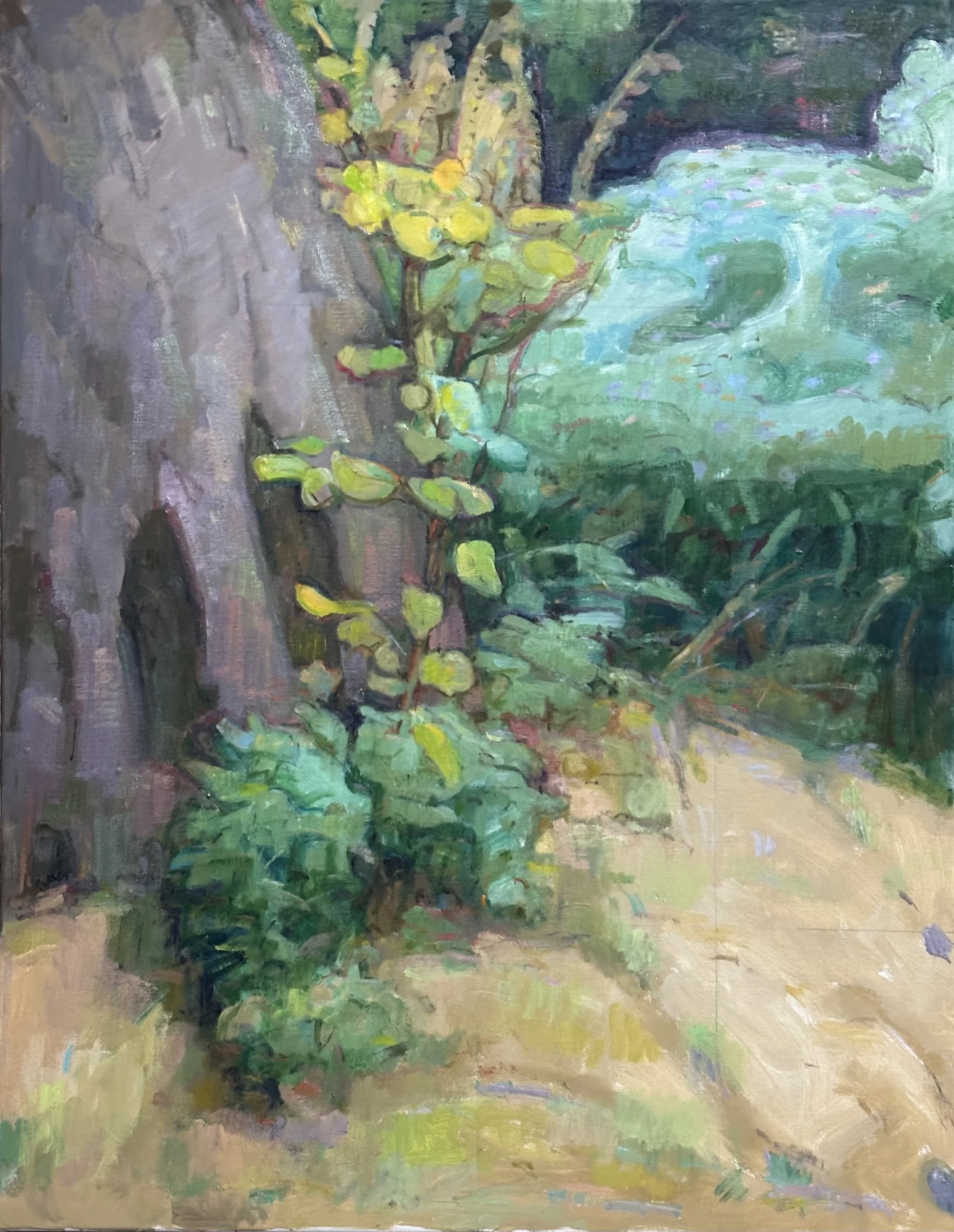 Broomfield - Sapling and Asters: Oil 36x28in