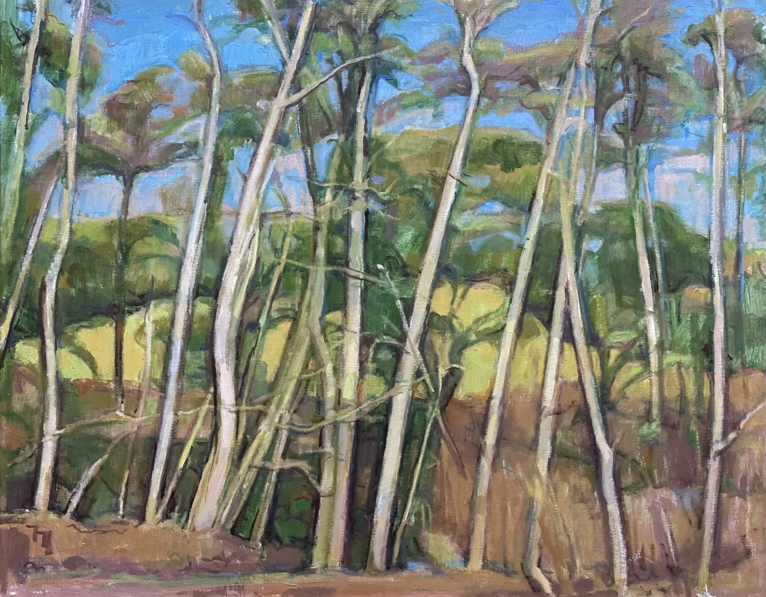 Sussex Copse: Oil 30x24in