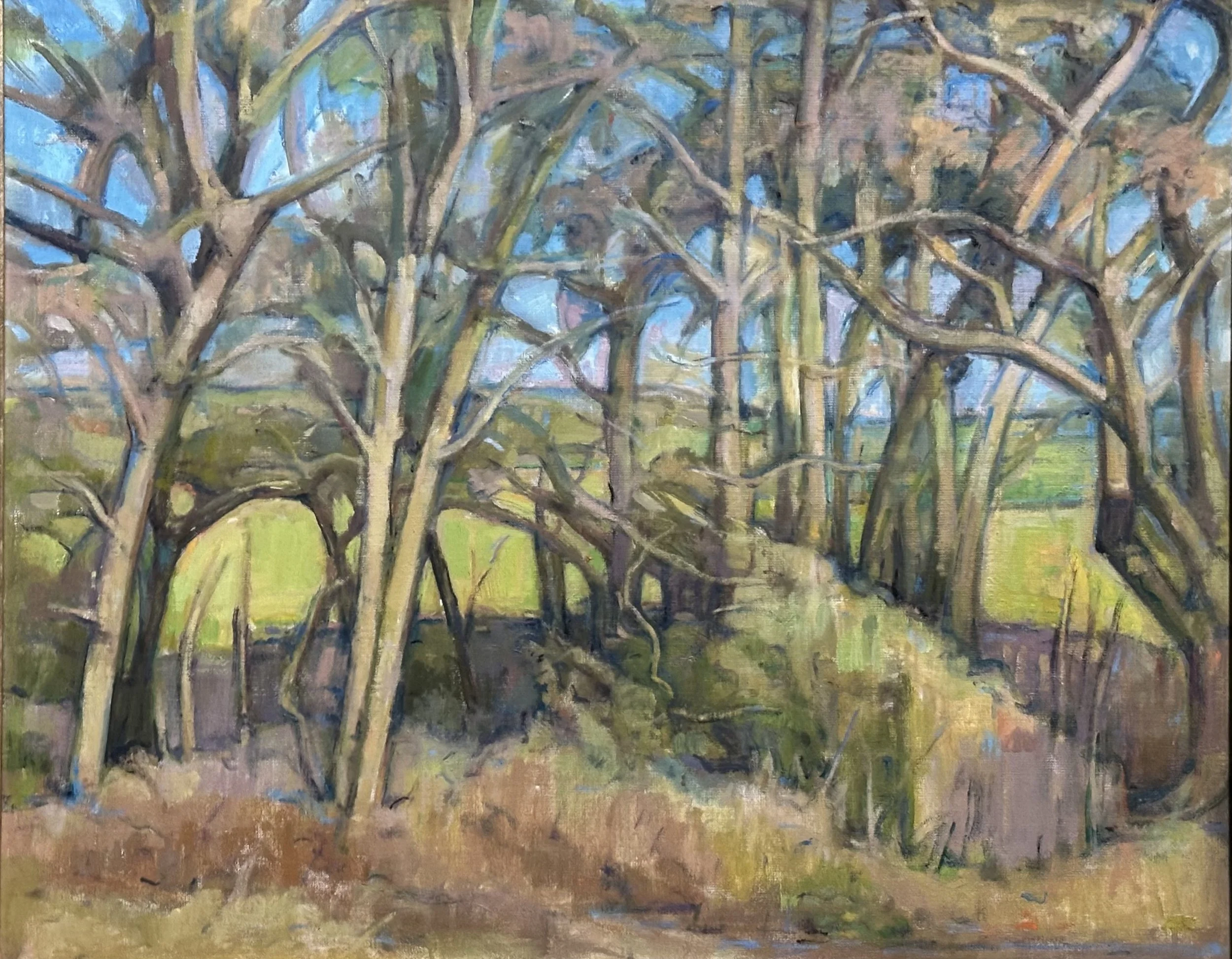Sussex Copse: Oil 30x24in