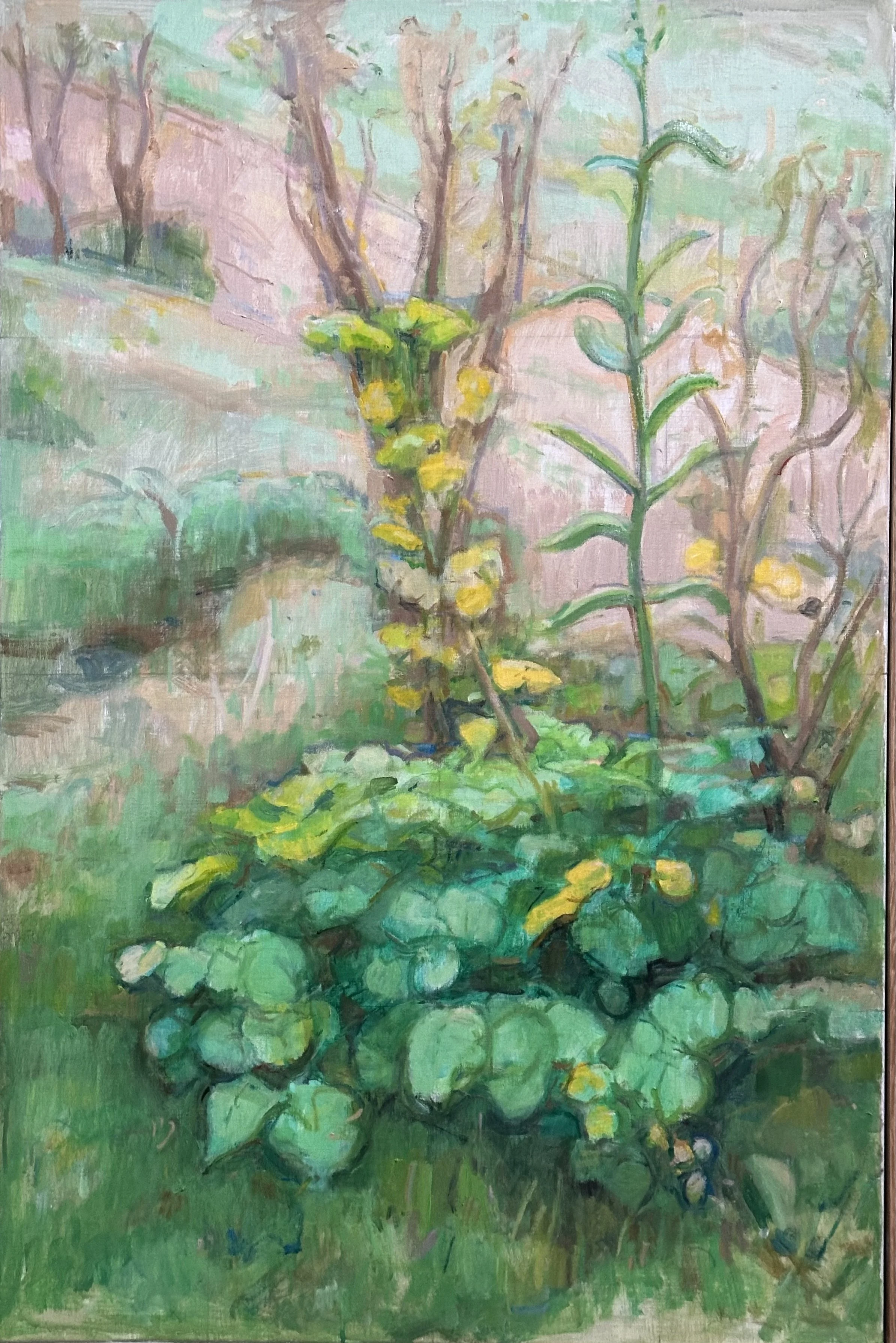 Broomfield - Tall Weeds: Oil 36x24in