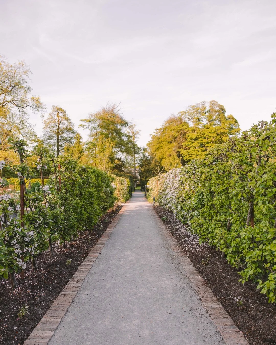POV: arriving at FIFTY TWO is about to look like this... 🌷

Hello March! A new month also means bookings are now open until the end of May - use the link in our bio to secure your table.

... and, for the first time in a while, arrivals through the 