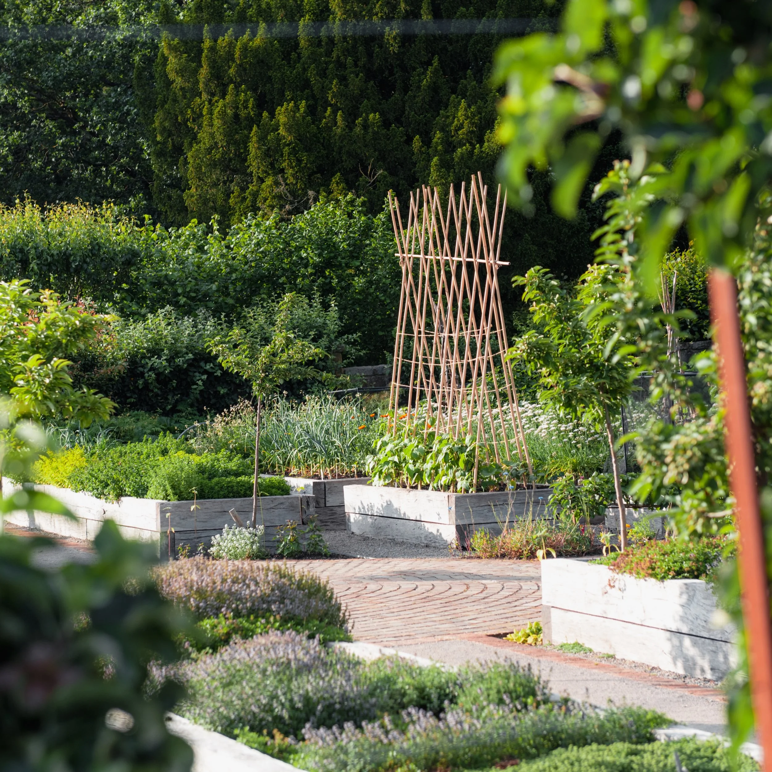 Summer checklist:

Garden welcome, snacks, drinks pairing, Lindisfarne oysters, scallop, art of conversation, cod, saddle of lamb, dessert island discs, brown butter tart, handmade liquors...

The only thing that stays the same is change.

Our diary 