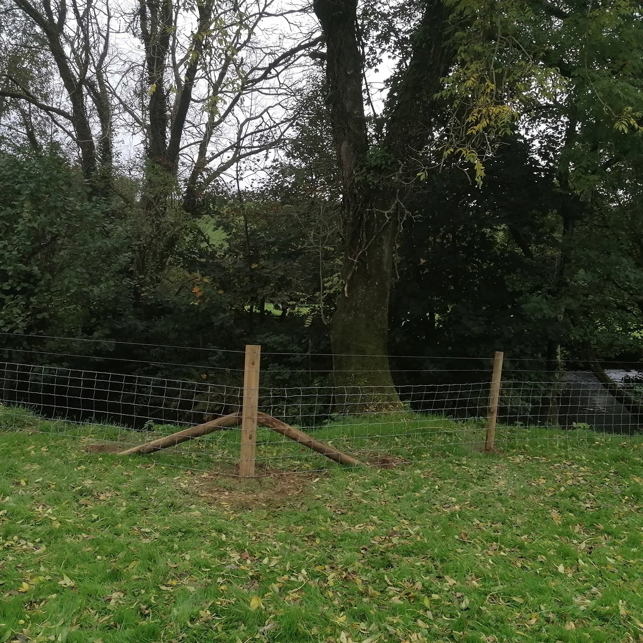 Cornwall fencing services 40.jpg