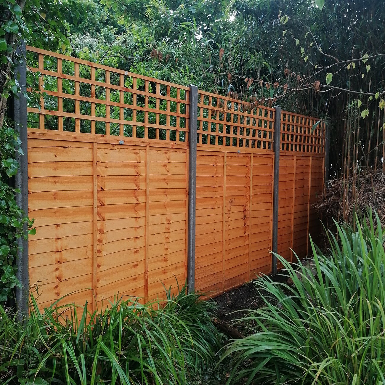 Cornwall fencing services 28.jpg