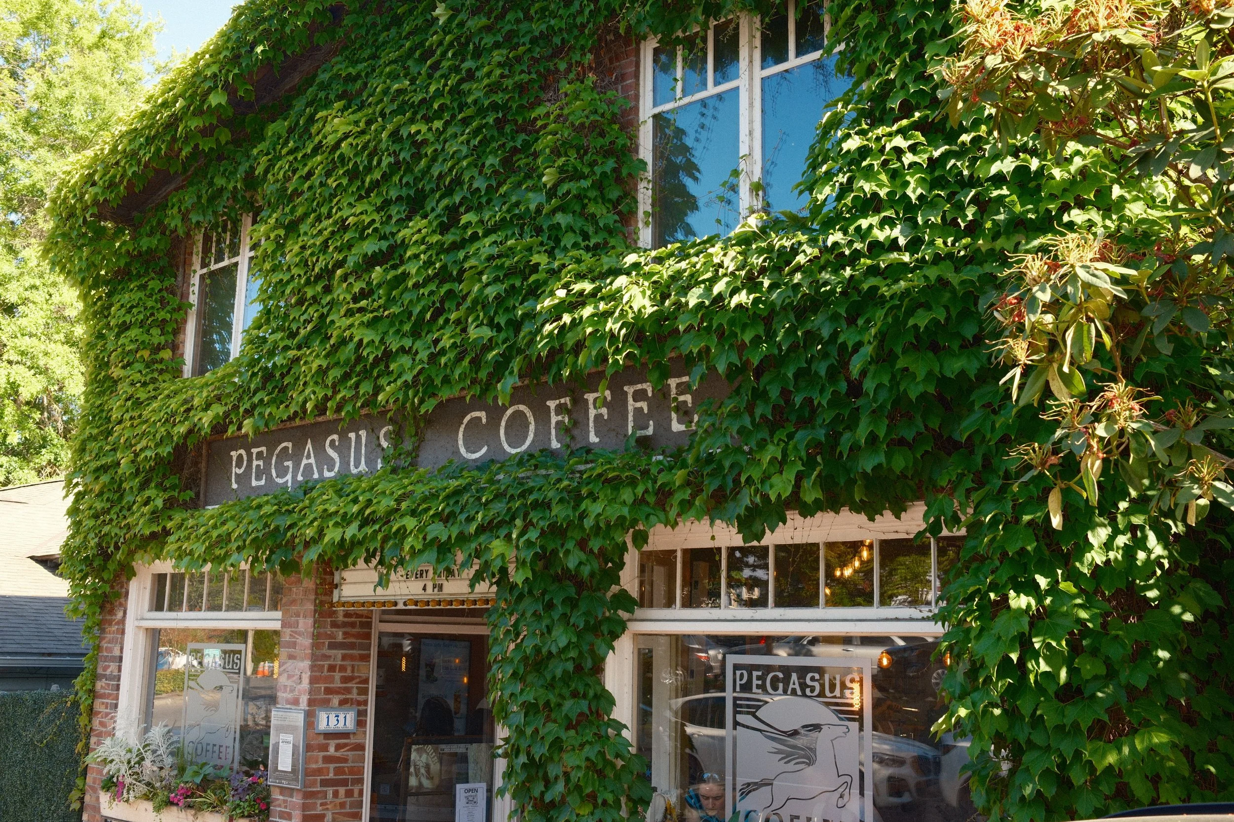 Exterior of a brick building with large windows and lush green ivy covering most of the facade, advertising Pegasus Coffee Shop.