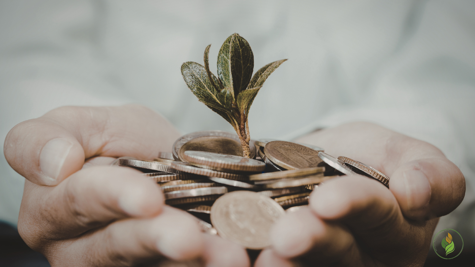 Why Capital Planning Is the Most Overlooked Part of Building a Mitigation Bank