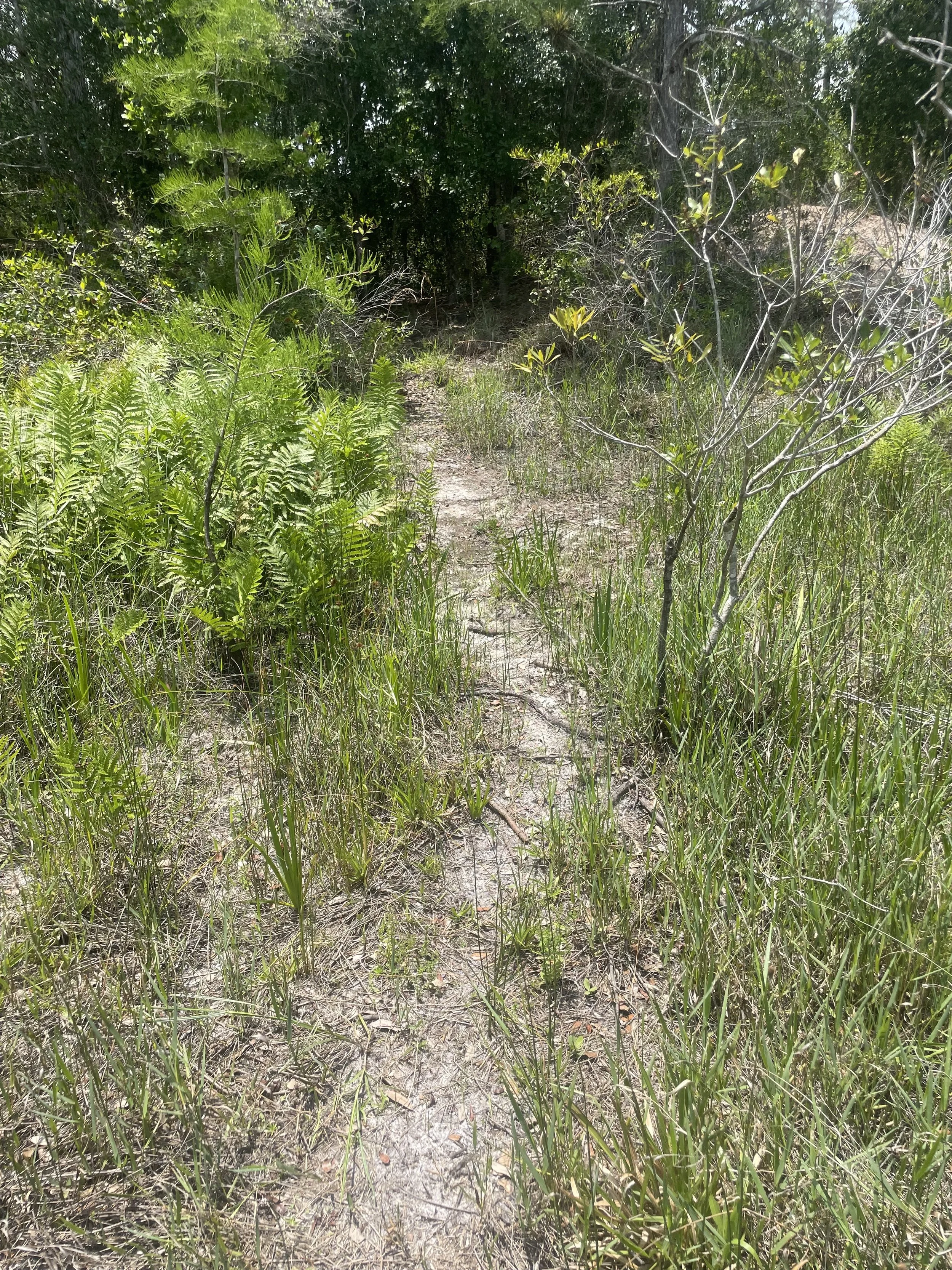 Lucky L Mitigation Bank