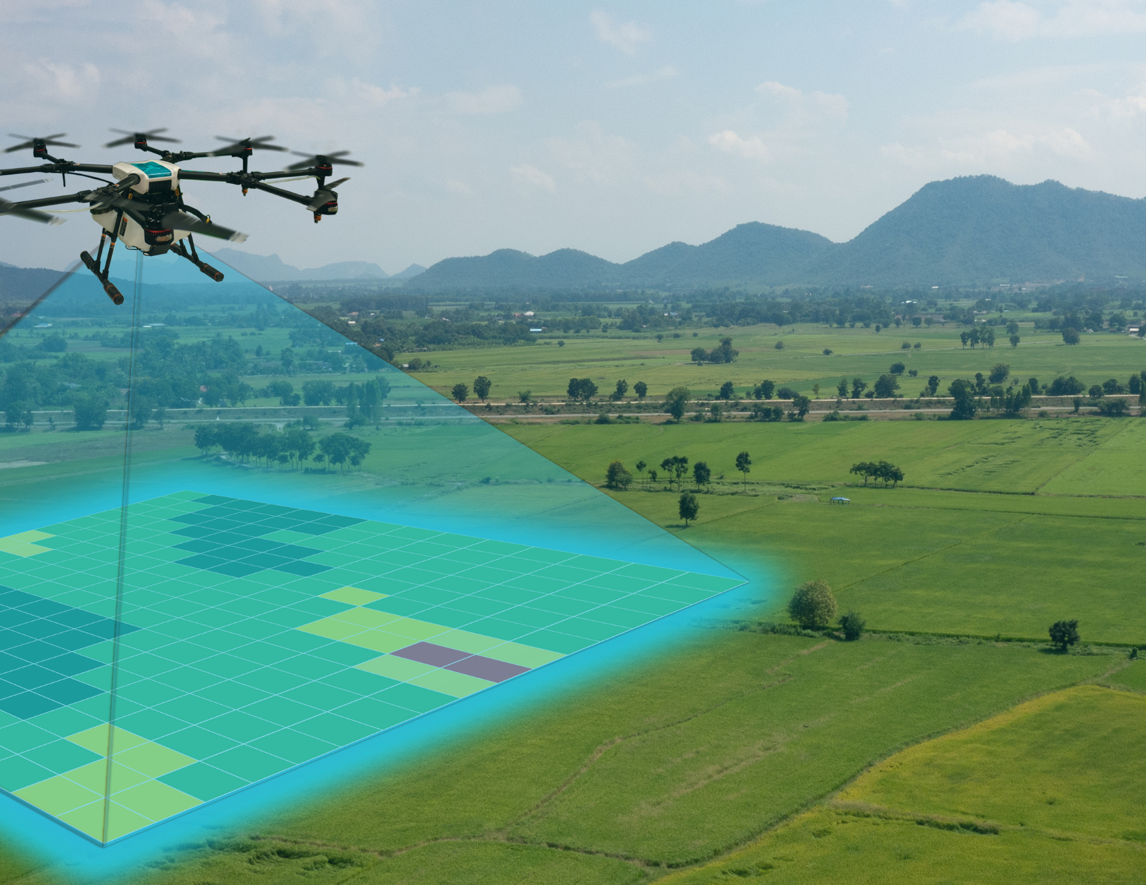 Eyes in the Sky: How Drones Are Changing Conservation