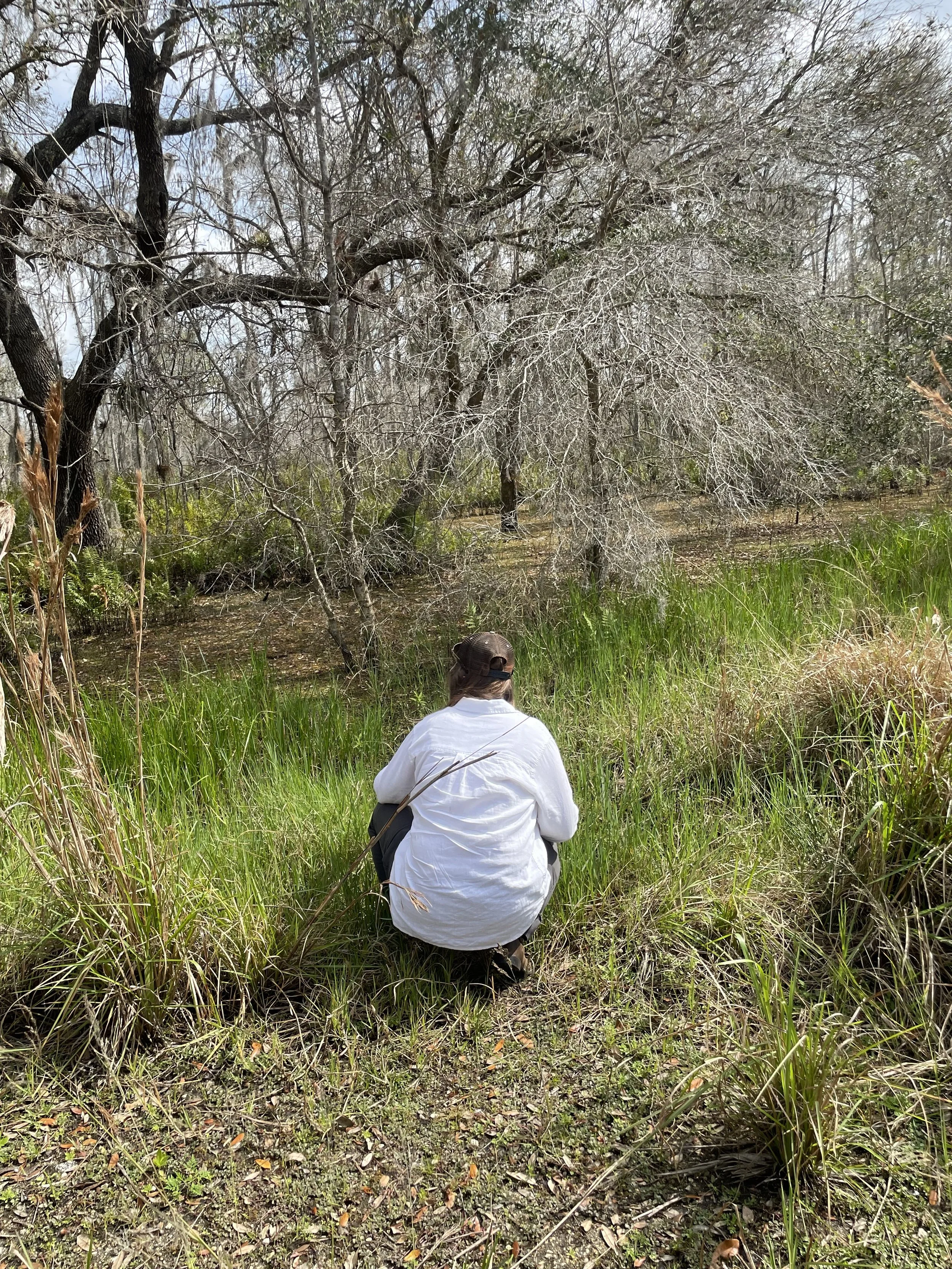 Person in a white shirt crouching in tall grass near a swampy area with leafless trees and a cloudy sky