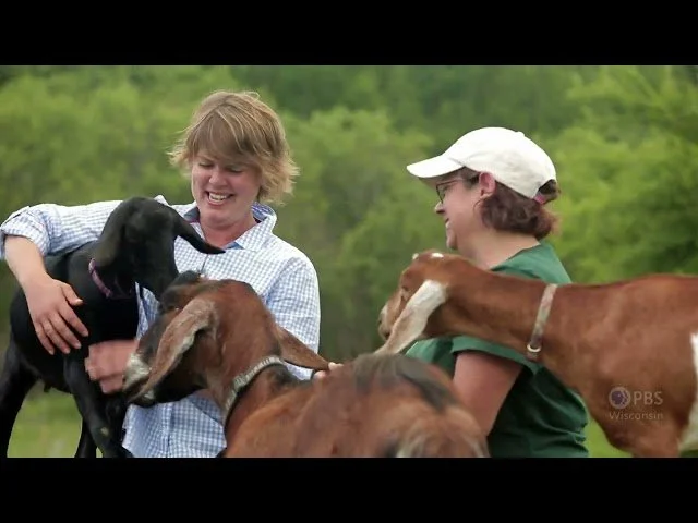 Alice in Dairyland Reunion