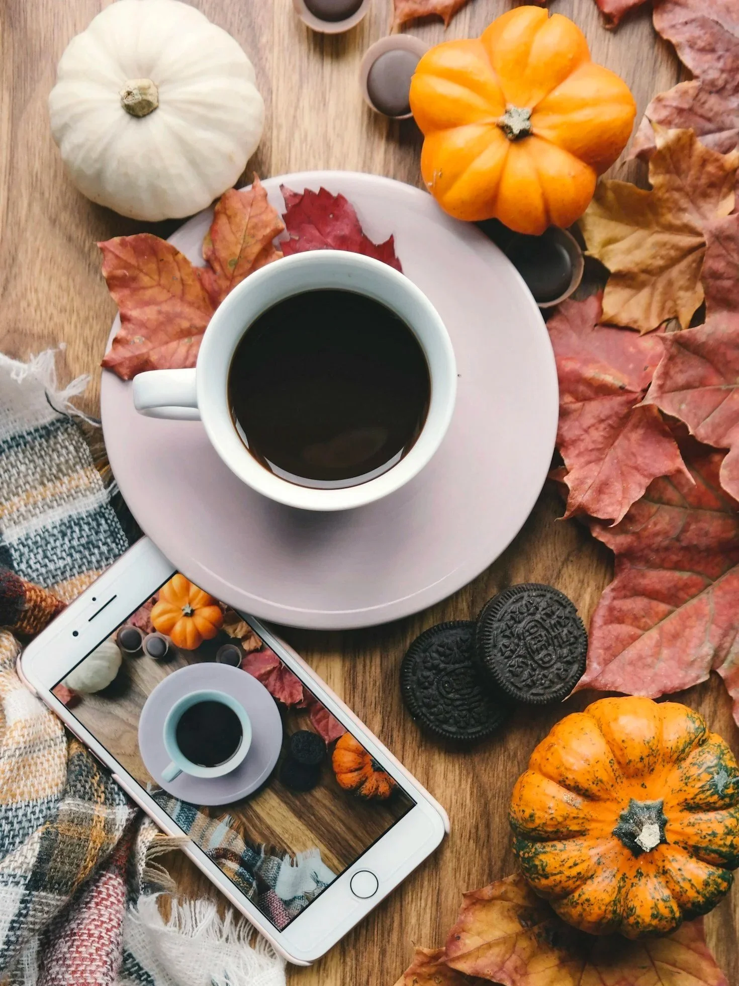 5 Content Ideas to Use for Your Business This Fall