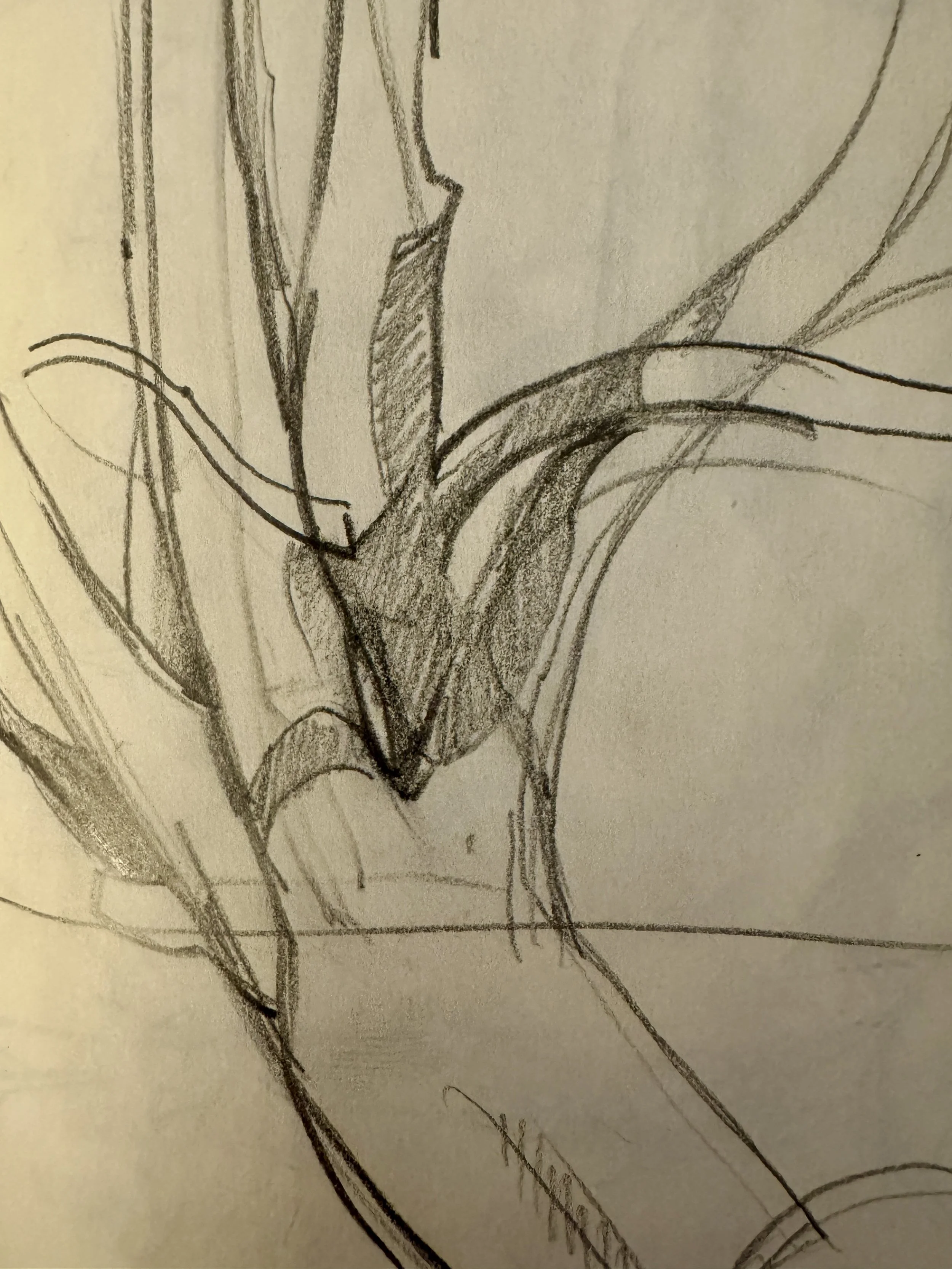 Pencil Studies from 2023: Travel & Daily Moments