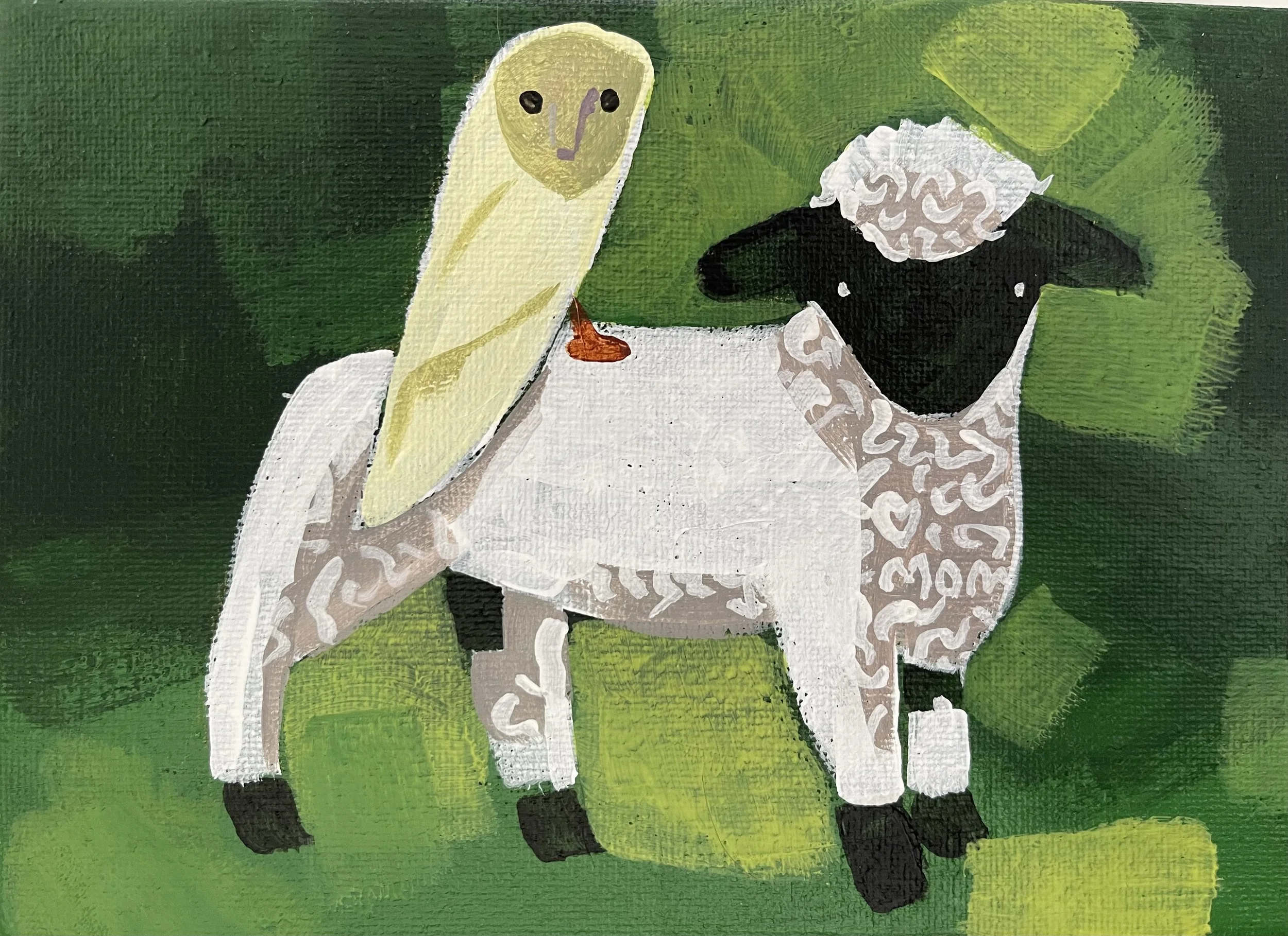 Owl on sheep.jpeg