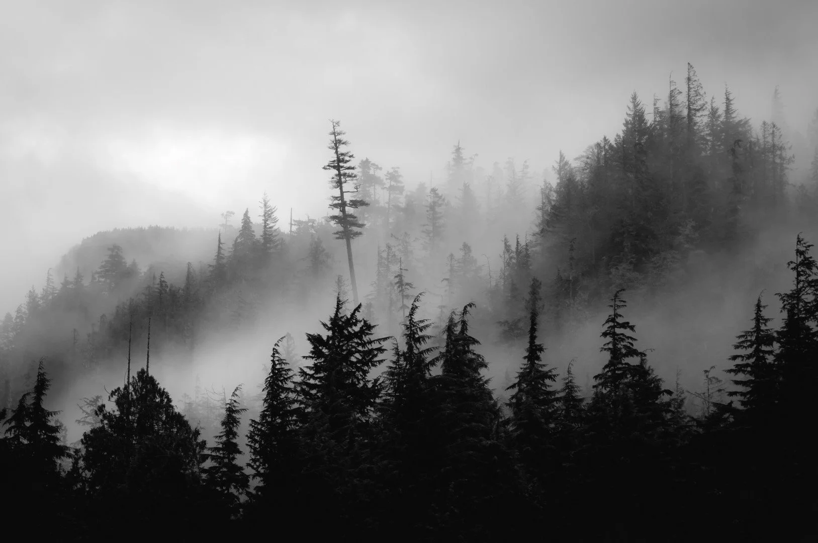 Haze(large).jpg