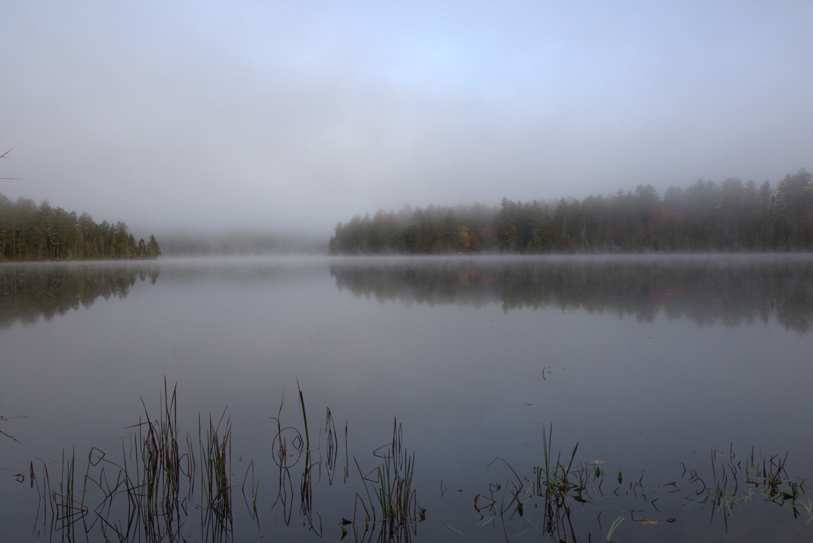 Calm (Large).jpg