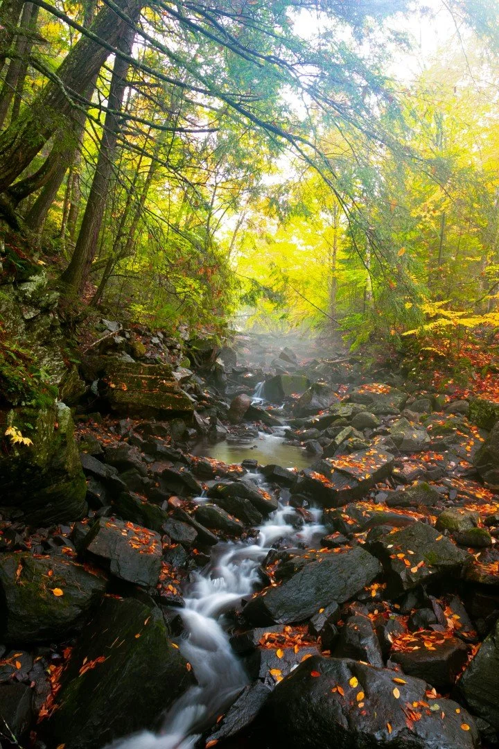 Gentle Cascade (Large).jpg