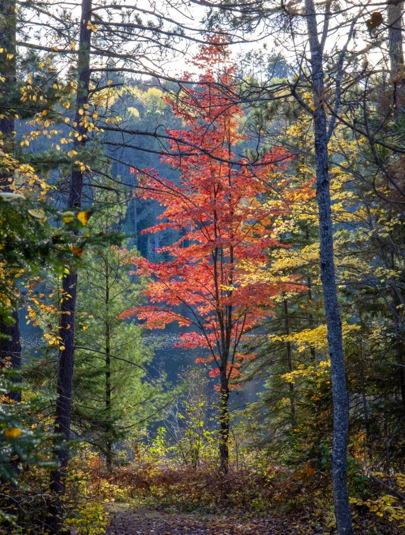Seasons Change(Large).jpg