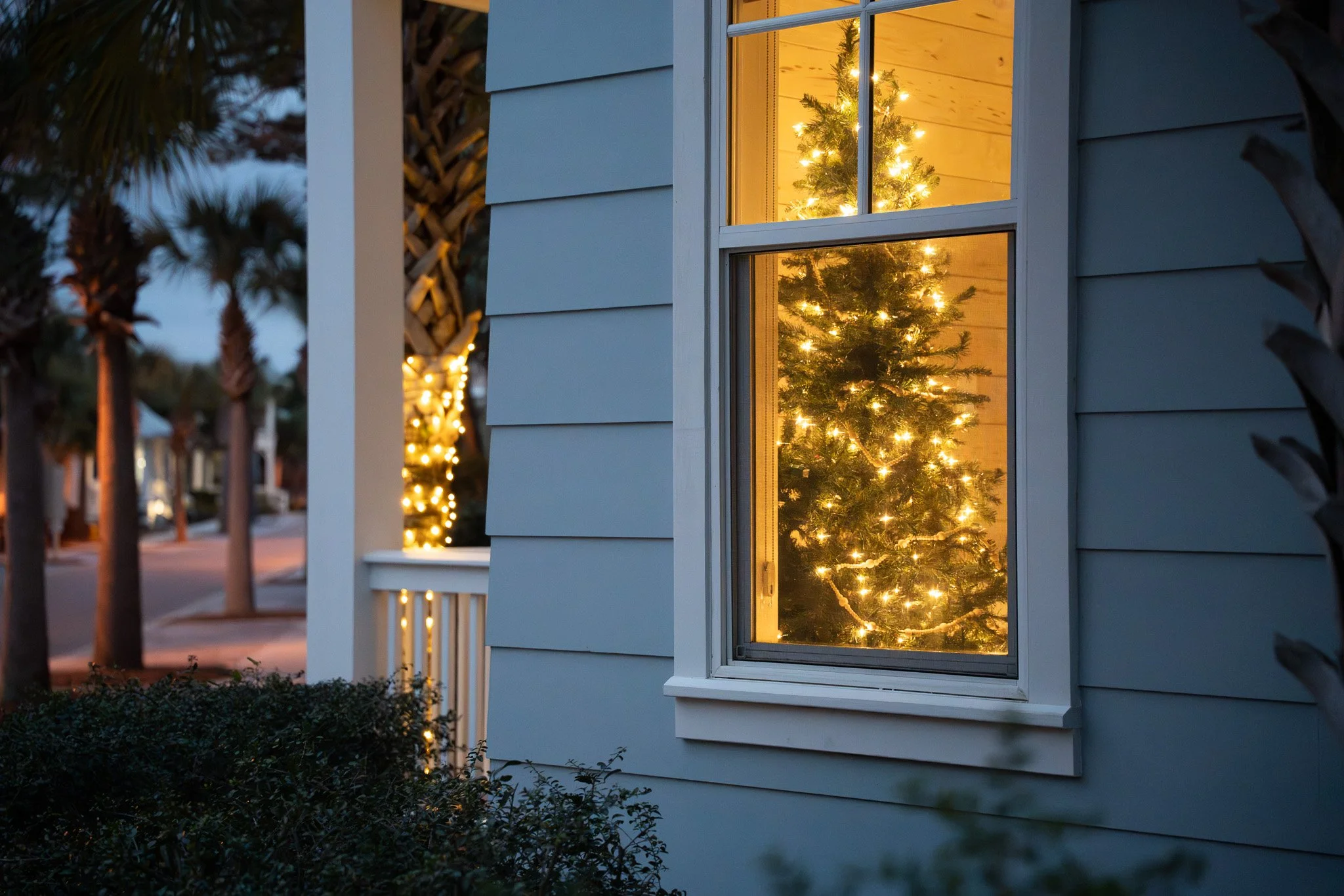 Christmas tree with lights inside a house, visible through a window, with palm trees and porch in the foreground.