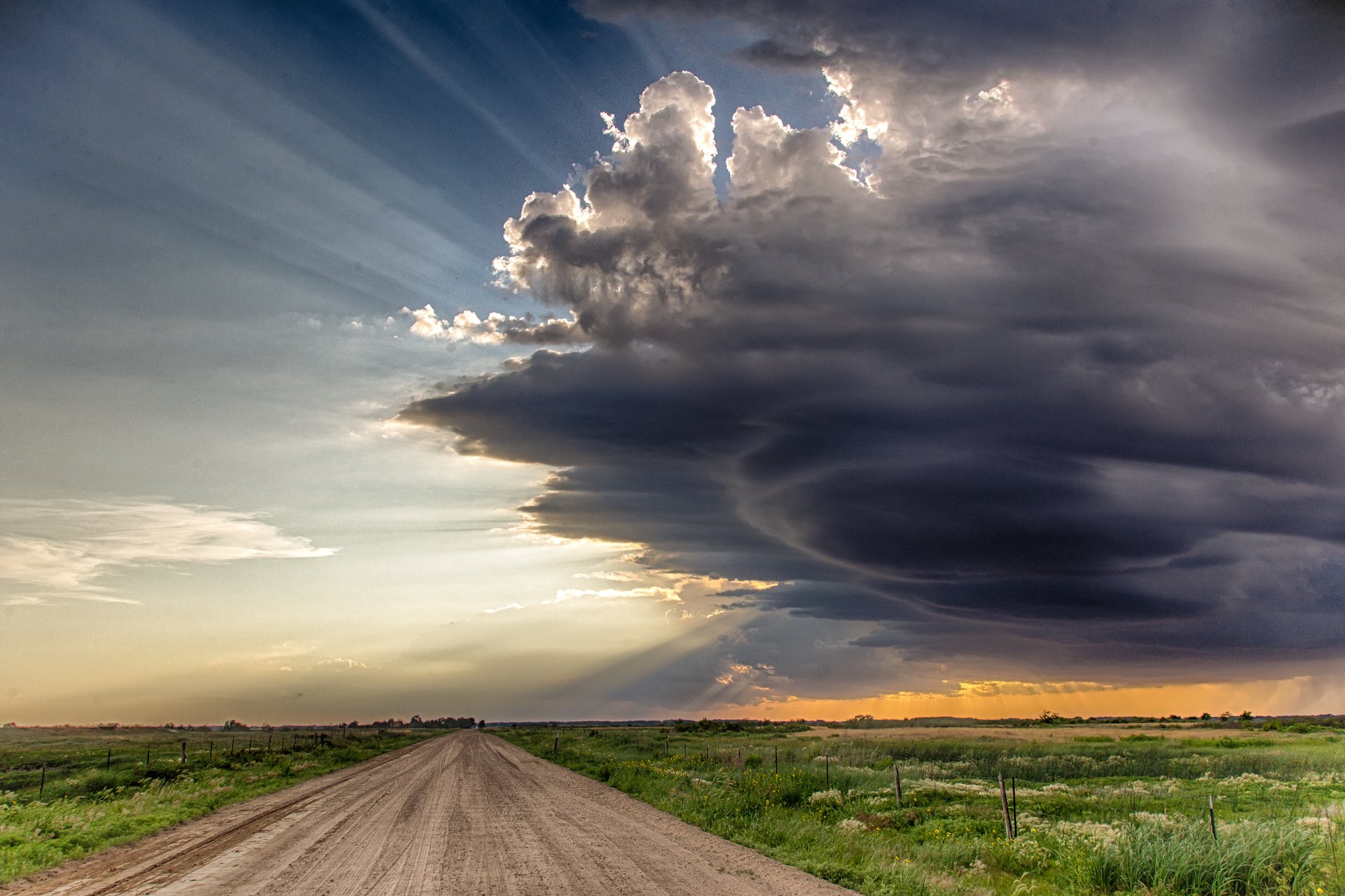 TWP_0087_INTO_THE_STORM.jpg